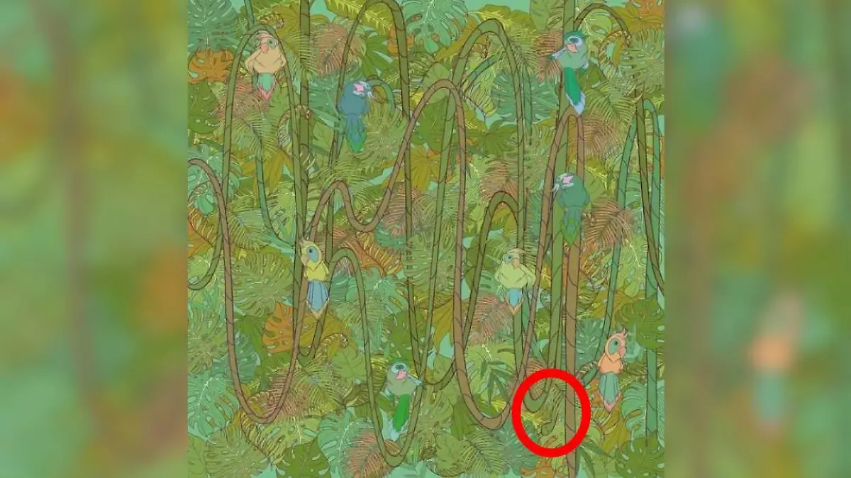 Auflösung Suchbild Schlange