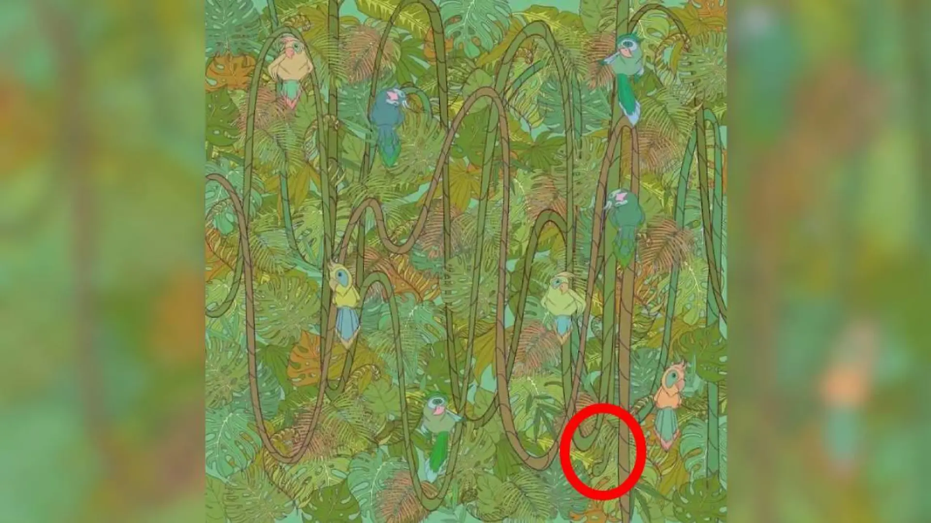 Auflösung Suchbild Schlange
