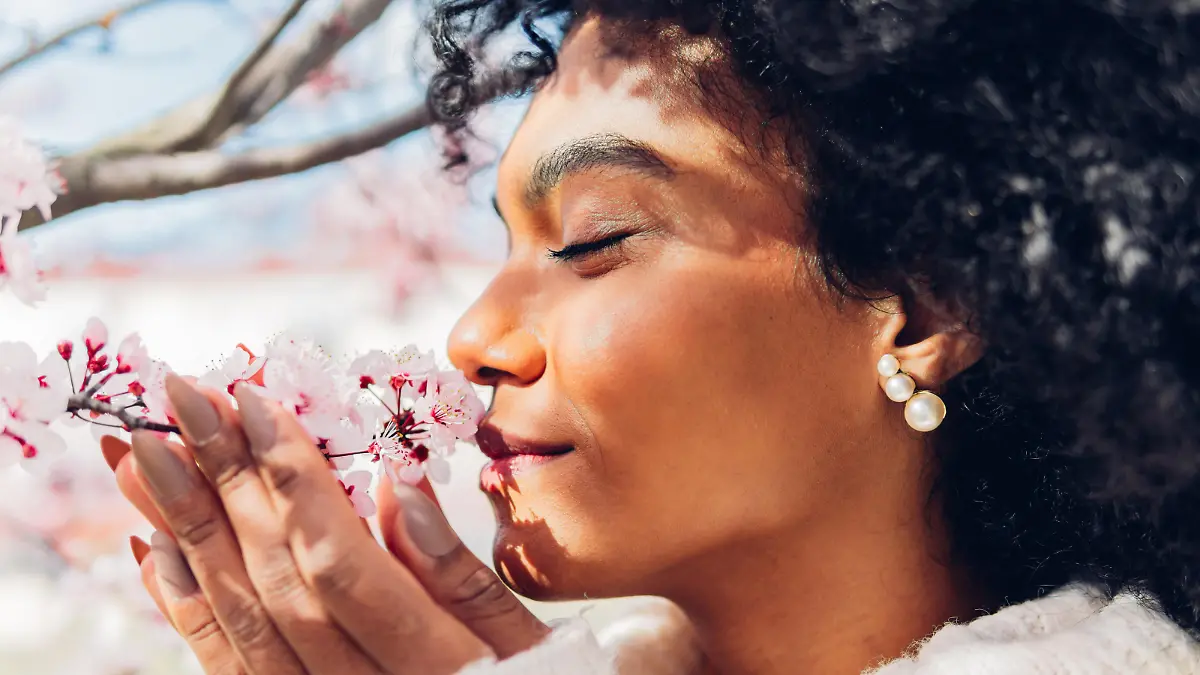 Beautiful African American woman smelling the soft, fresh and natural scent of pink flowers in spring in bloom. Concept of softness, delicacy, purity, femininity, dream of relaxation.