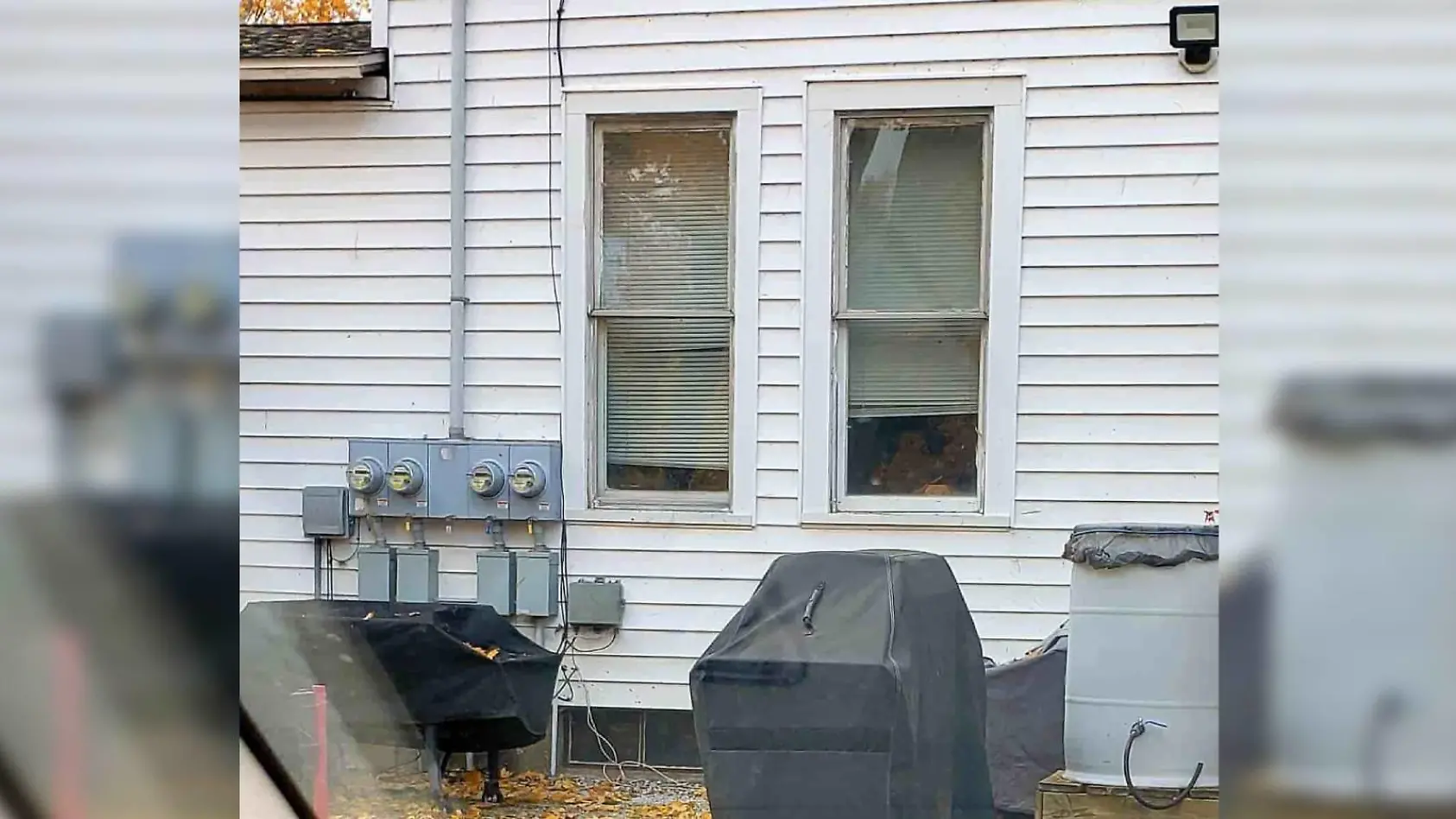 Findet ihr den Hund im Suchbild?