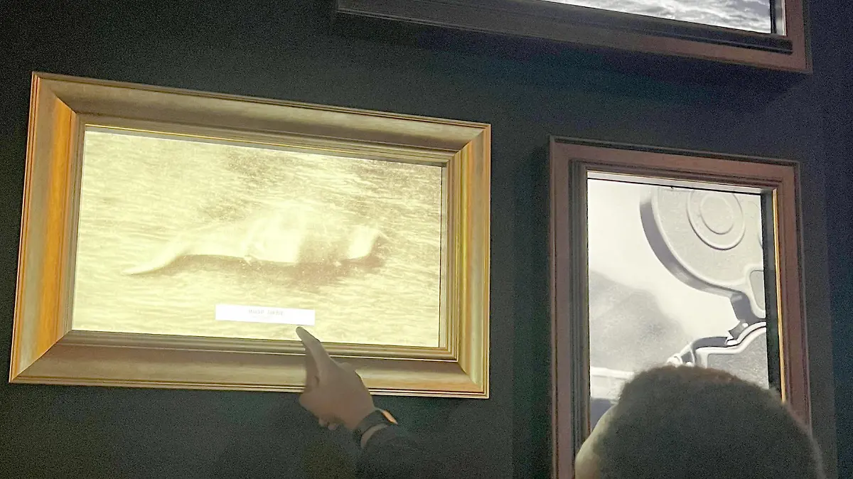 HANDOUT - 08.11.2023, Großbritannien, Drumnadrochit: Eine Mitarbeiterin zeigt im interaktiven Museum «Loch Ness Centre» auf das mutmaßlich erste Bild vom Loch Ness-Monster Nessie, das Hugh Gray im November 1933 aufgenommen hat. Foto: Loch Ness Centre/dpa - ACHTUNG: Nur in vollem Format und nur zur redaktionellen Verwendung im Zusammenhang mit der aktuellen Berichterstattung "Zum 90. Jahrestag des ersten Nessie-Fotos" mit vollständiger Nennung des vorstehenden Credits +++ dpa-Bildfunk +++