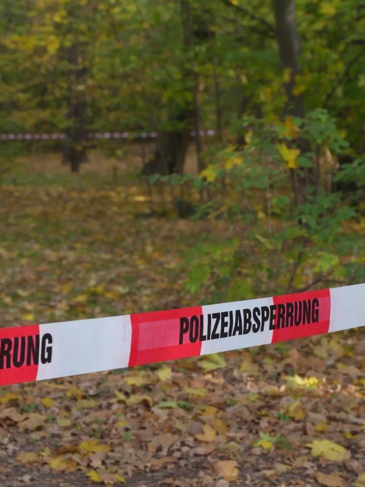 Im Dresdner Stadtteil Prohlis sucht die Polizei nach einem Mann, der heute Morgen ein Mädchen bedrängt haben soll.