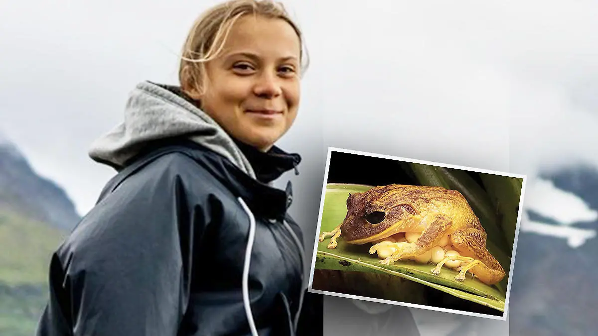 Diese Tiere tragen die Namen von Promis Thunberg, Trump, Hasselhoff und Beyoncé