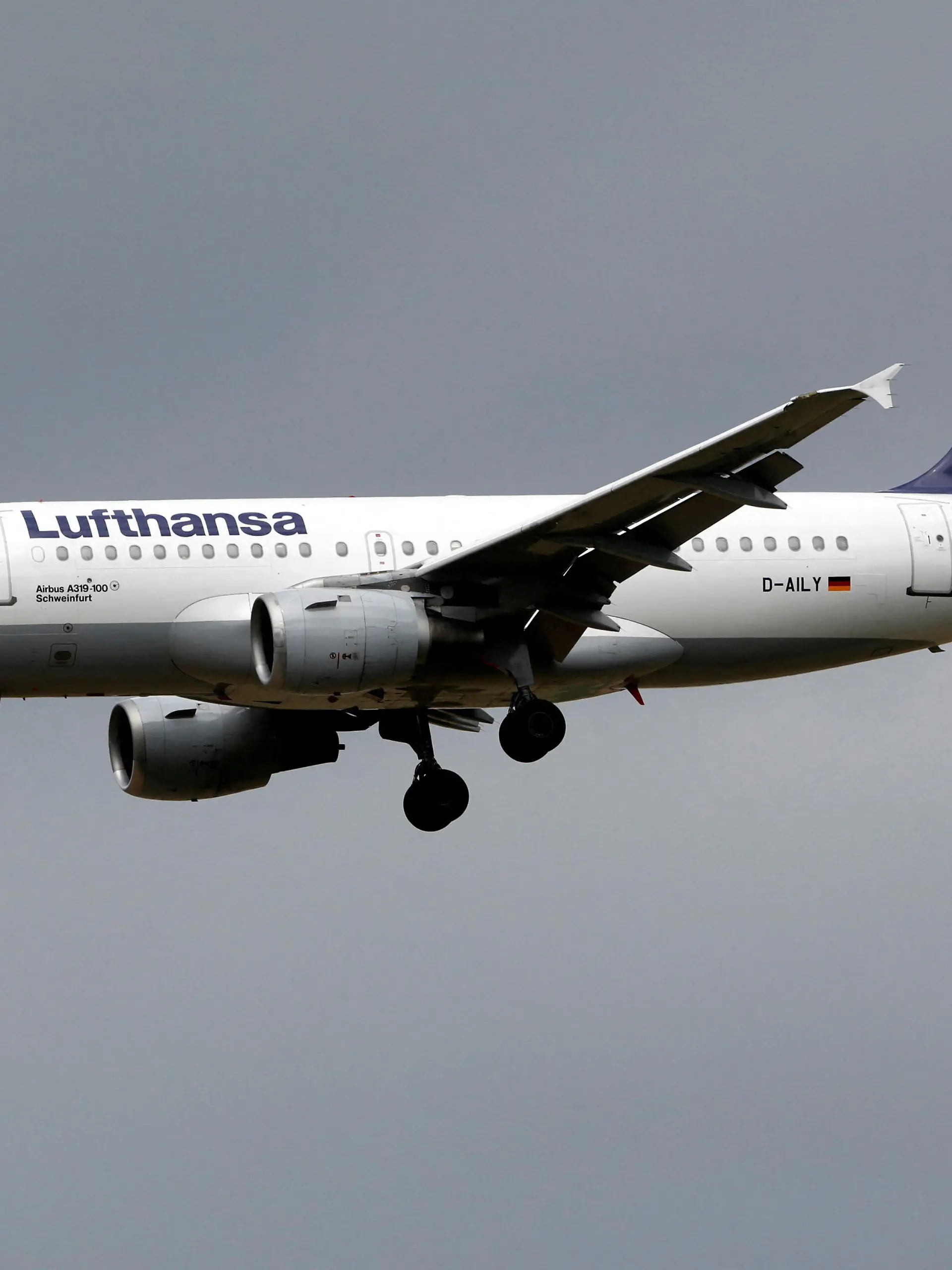 FILE PHOTO: A Lufthansa Airbus A319 airplane lands at the Charles de Gaulle International Airport in Roissy, near Paris, July 28, 2017. REUTERS/Benoit Tessier/File Photo