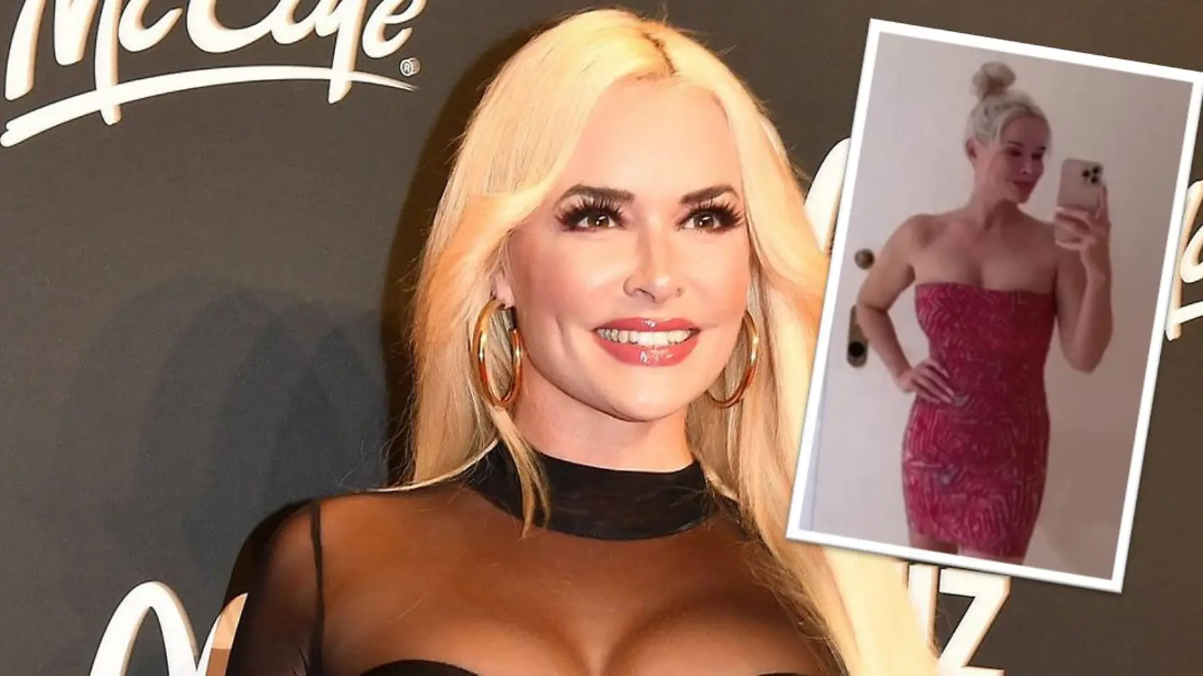 Mit diesem Foto schießt die Katze den Vogel ab