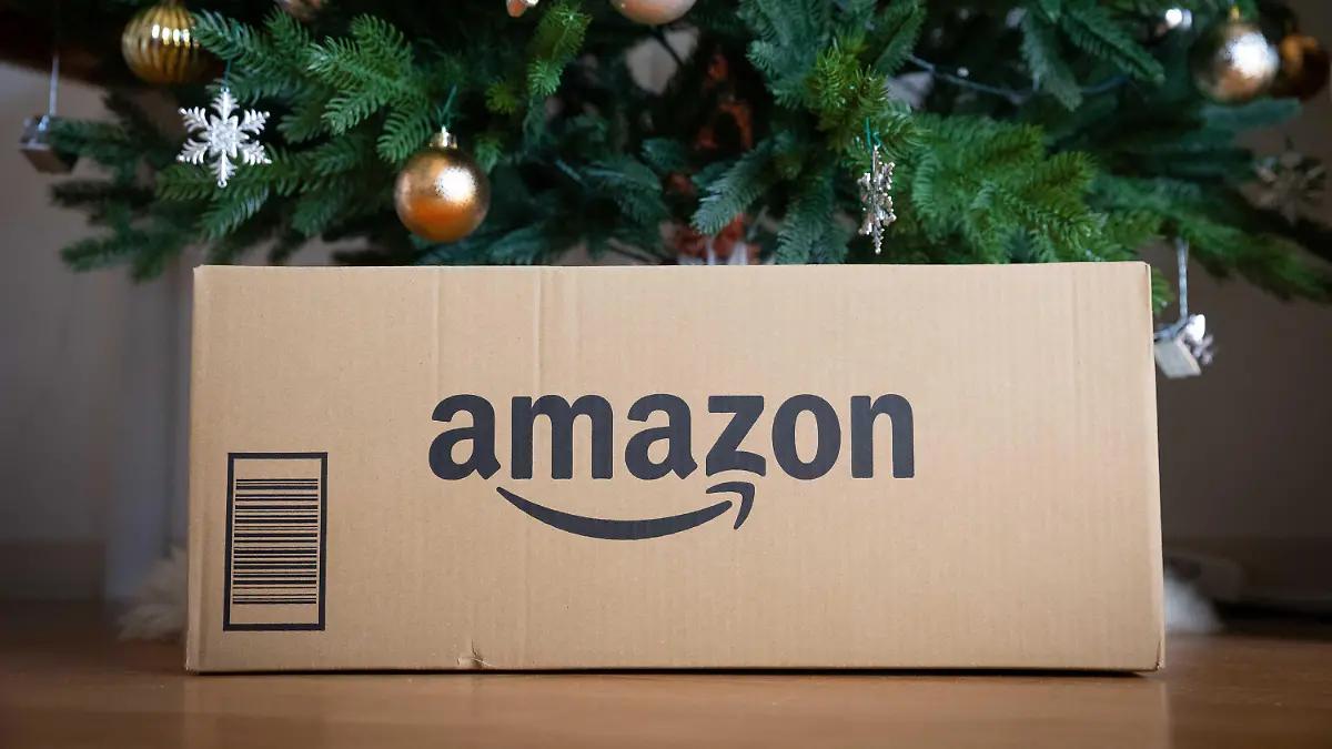Amazon package underneath a Christmas tree. - 20221127_PD0527
