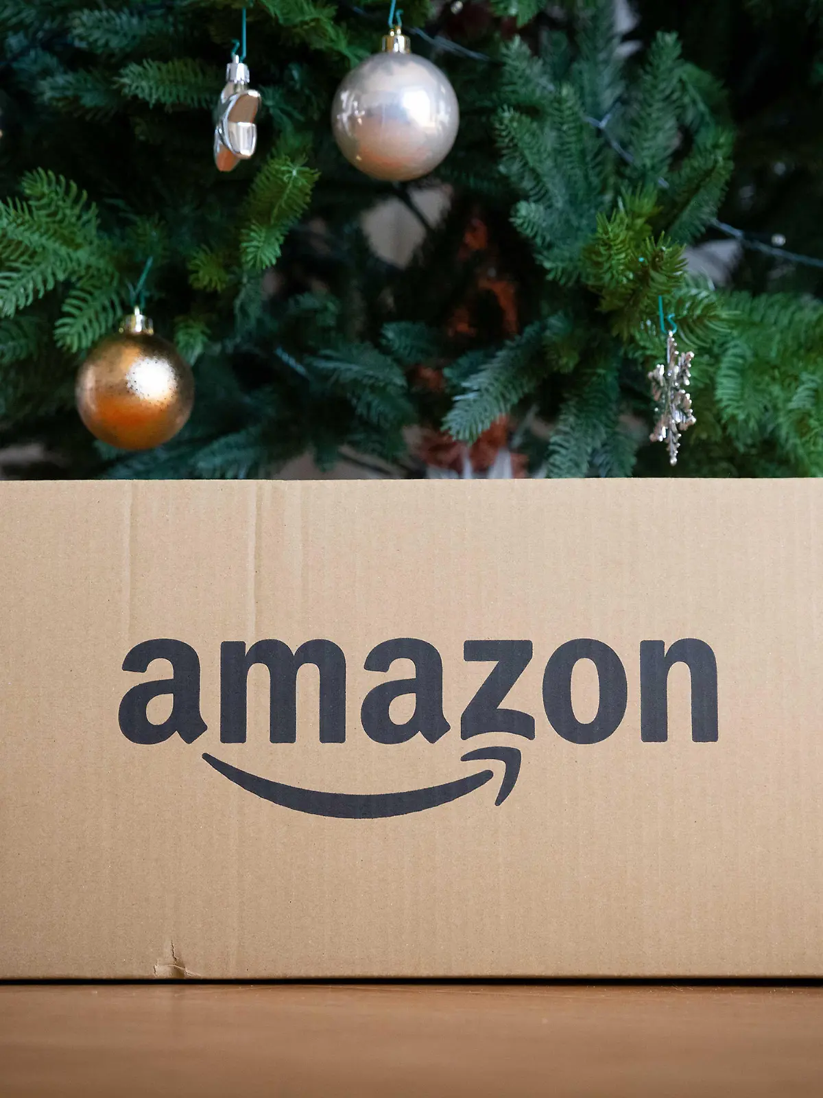 Amazon package underneath a Christmas tree. - 20221127_PD0527