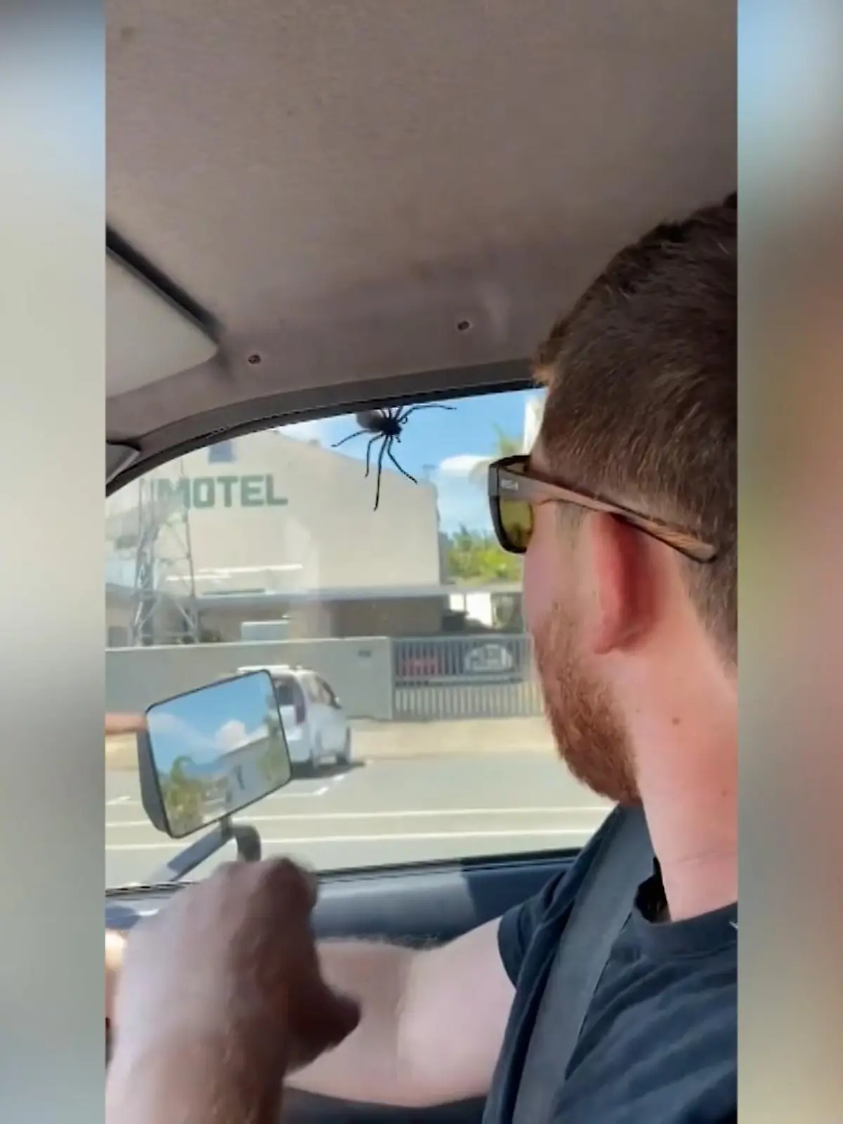 Dieses Treffen stammt aus der Kategorie: Dinge, die man beim Autofahren NICHT sehen will. Während der Fahrt krabbelt am Fenster dieses Paares nämlich eine Riesenkrabbenspinne am Fenster entlang.