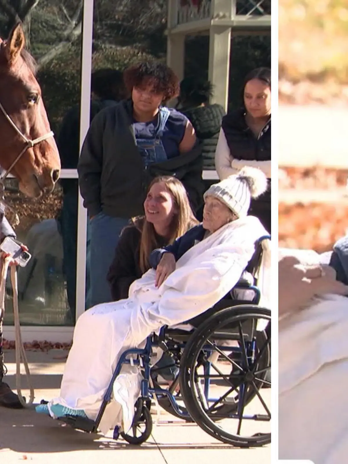 Hospizpatientin Jackie hat nur noch einen letzten Wunsch: Sie möchte noch einmal ein Pferd sehen. Und dieser Wunsch wird ihr erfüllt. Das emotionale Treffen, seht ihr im Video.