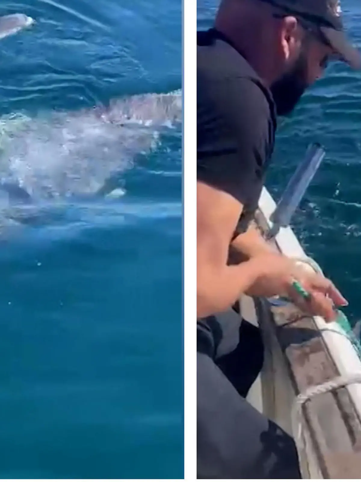 Die Fischer Jose Ramon Perez und Miguel Rodriguez trauen ihren Augen kaum, als sie vor wenigen Tagen ein Delfinbaby finden - an seiner Schwanzflosse angebunden! Seine Mutter kreist aufgeregt um ihr  Junges herum und versucht, dass es nicht erstickt. Perez und Rodriguez zögern keine Sekunde und eilen den Tieren zu Hilfe!
