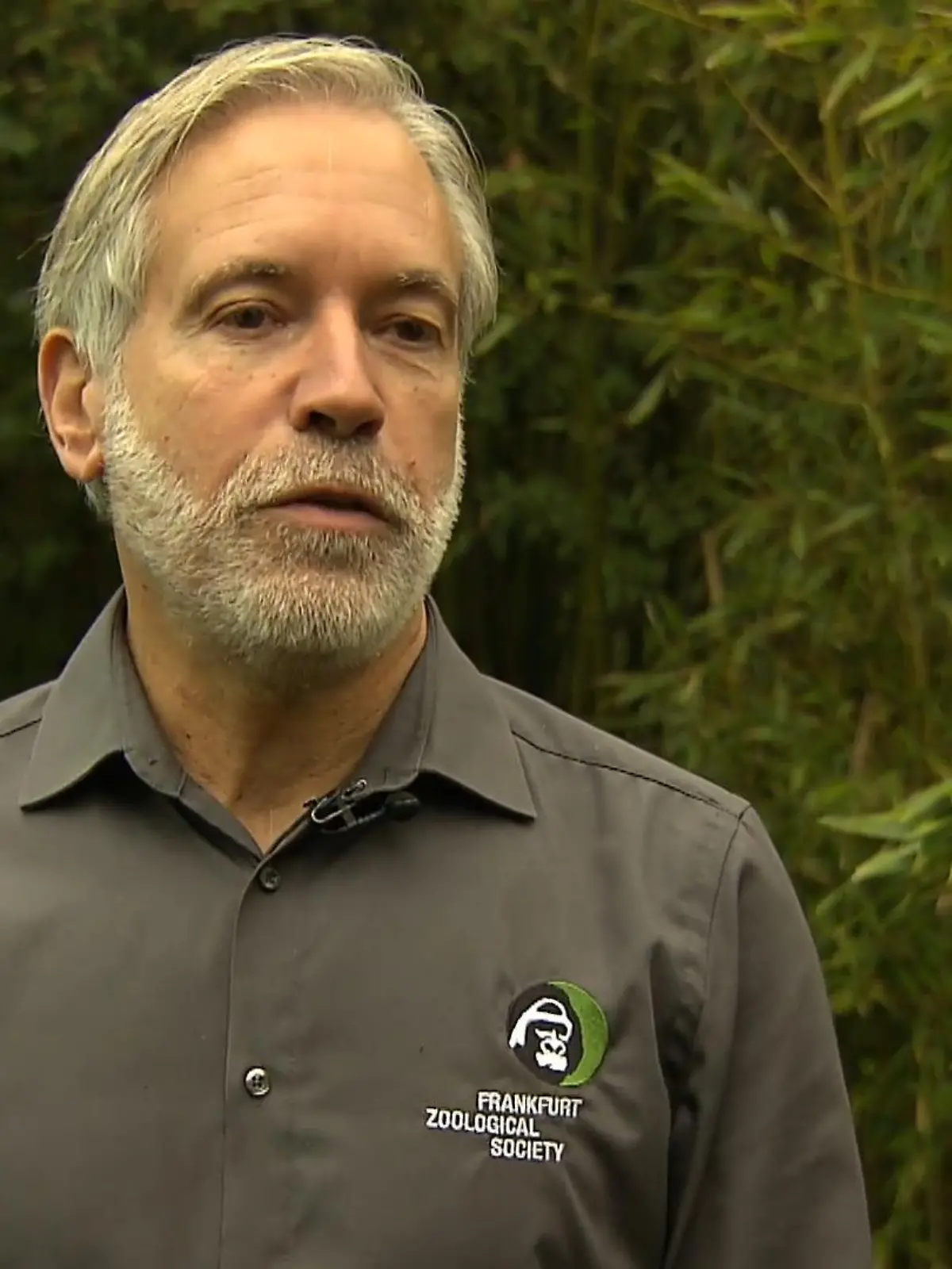 Während eines Festaktes am Sonntagabend wurde der Frankfurter Biologe Christof Schenk vom Bundespräsidenten Frank-Walter Steinmeier mit dem Deutschen Umweltpreis ausgezeichnet. Mit einer Summe von 500 000 Euro ist der Gewinn, der am höchsten dotierte Umweltpreis Europas. Wie sich der 60-Jährige nach seinem Sieg fühlt, zeigen wir im Video.