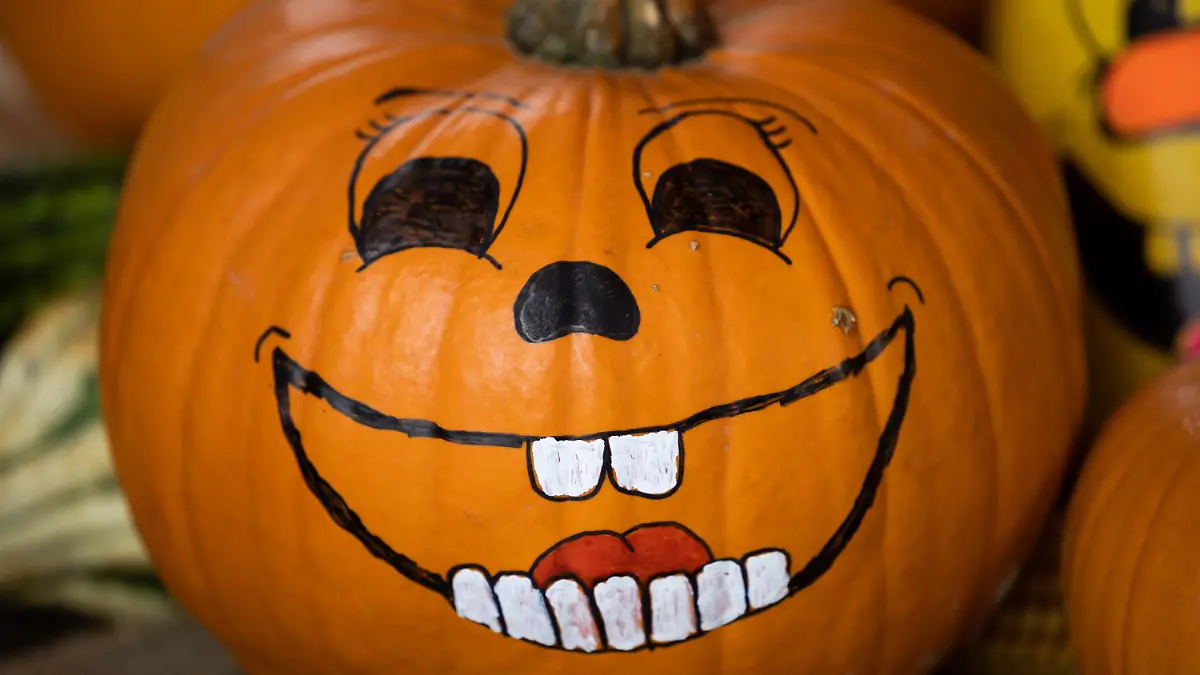 26.10.2022, Niedersachsen, Osnabrück: Kürbisse mit aufgemalten Gesichtern liegen in der Auslage eines Hofes mit Ladenverkauf. Der Jack-O·Lantern-Brauch bildet die Grundlage der Halloween-Tradition irischer Einwanderer. Die Kürbislaterne gilt als Symbolfigur für Halloween. (zu dpa «Süßes oder Saures»: Zu Halloween erwachen die Geister») Foto: Friso Gentsch/dpa +++ dpa-Bildfunk +++