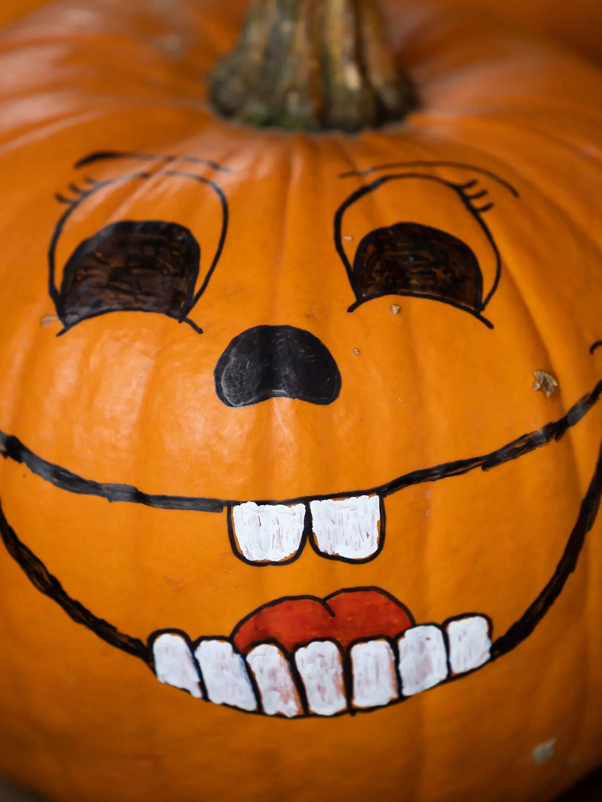 26.10.2022, Niedersachsen, Osnabrück: Kürbisse mit aufgemalten Gesichtern liegen in der Auslage eines Hofes mit Ladenverkauf. Der Jack-O·Lantern-Brauch bildet die Grundlage der Halloween-Tradition irischer Einwanderer. Die Kürbislaterne gilt als Symbolfigur für Halloween. (zu dpa «Süßes oder Saures»: Zu Halloween erwachen die Geister») Foto: Friso Gentsch/dpa +++ dpa-Bildfunk +++