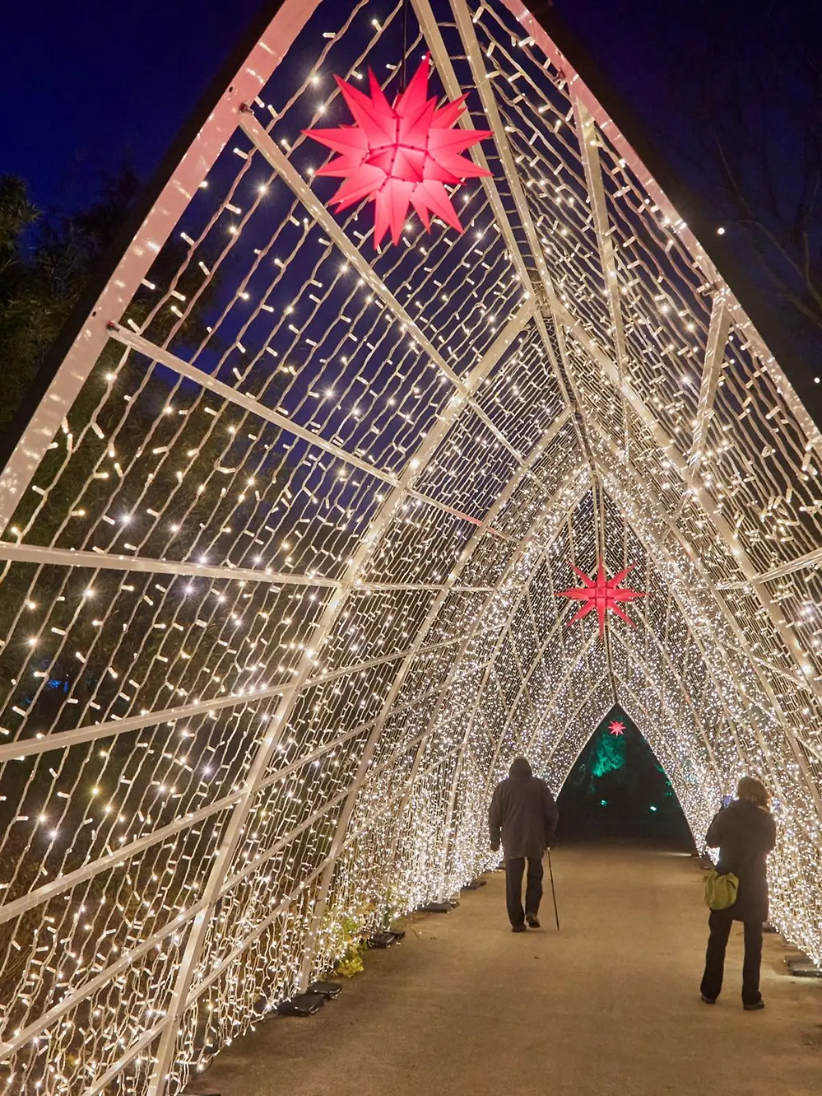 Bild zu: "Gewinnt Tickets für den leuchtenden Christmas Garden in Hamburg "