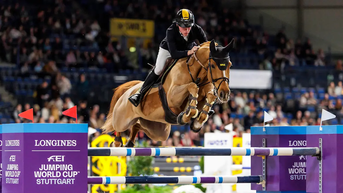 STUTTGART - German Masters 2023, STUTTGART - German Masters 2023 SCHULZE TOPPHOFF Philipp GER, Carla NRW Preis der Firma iWEST Springprüfung International Qualifikation zum STUTTGART GERMAN MASTER Stuttgart, Hanns-Martin-Schleyer-Halle 17. November 2023 - *** STUTTGART German Masters 2023, STUTTGART German Masters 2023 SCHULZE TOPPHOFF Philipp GER , Carla NRW Preis der Firma iWEST Jumping Competition International Qualifier for the STUTTGART GERMAN MASTER Stuttgart, Hanns Martin Schleyer Halle November 17, 2023