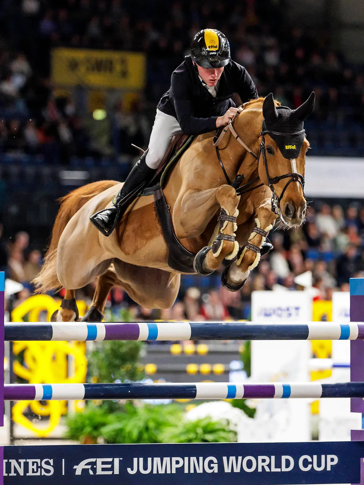 STUTTGART - German Masters 2023, STUTTGART - German Masters 2023 SCHULZE TOPPHOFF Philipp GER, Carla NRW Preis der Firma iWEST Springprüfung International Qualifikation zum STUTTGART GERMAN MASTER Stuttgart, Hanns-Martin-Schleyer-Halle 17. November 2023 - *** STUTTGART German Masters 2023, STUTTGART German Masters 2023 SCHULZE TOPPHOFF Philipp GER , Carla NRW Preis der Firma iWEST Jumping Competition International Qualifier for the STUTTGART GERMAN MASTER Stuttgart, Hanns Martin Schleyer Halle November 17, 2023
