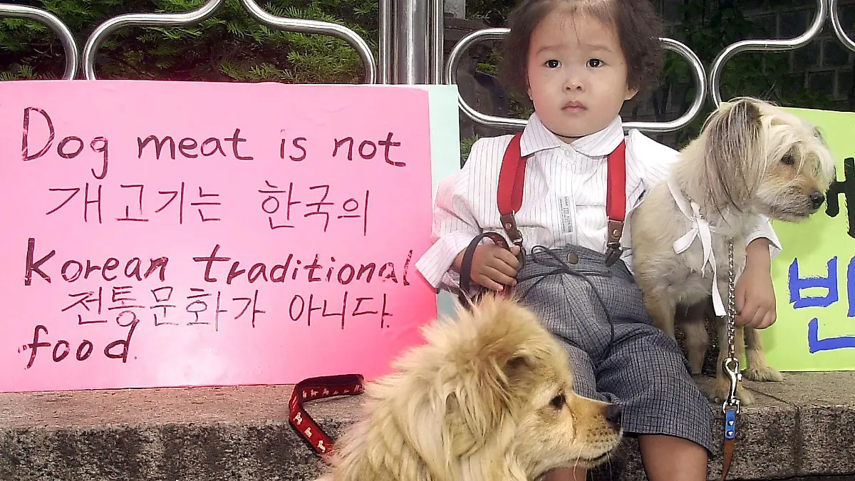 Young Korean Park Tae-hee takes part in an anti-dog meat street campaign, with her dogs, by South Korean animal protection activisits in Seoul 19 May, 2002. The campaign came in response to international groups, which have opposed the practice of eating dogs in South Korea, ahead of the upcoming soccer World Cup to be co-hosted by South Korea and Japan. dpa +++ dpa-Bildfunk +++