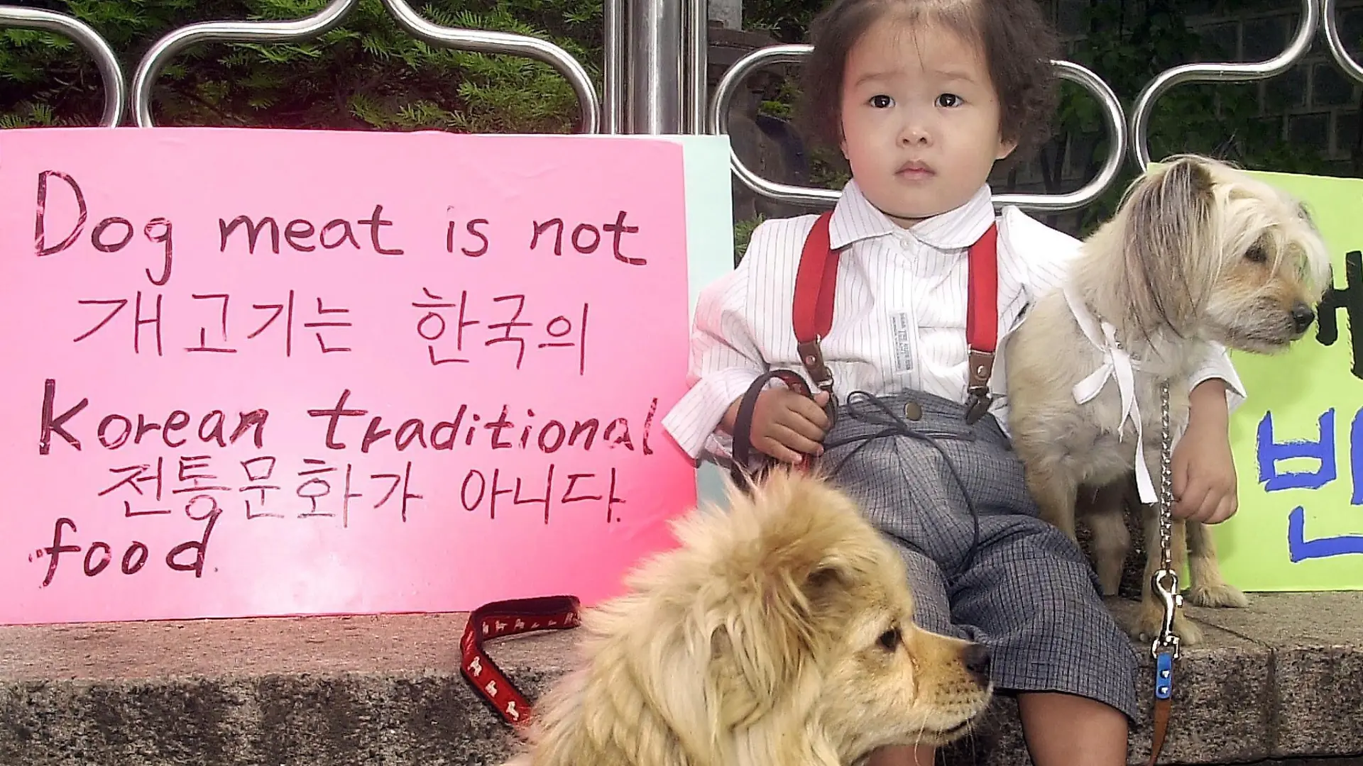 Young Korean Park Tae-hee takes part in an anti-dog meat street campaign, with her dogs, by South Korean animal protection activisits in Seoul 19 May, 2002. The campaign came in response to international groups, which have opposed the practice of eating dogs in South Korea, ahead of the upcoming soccer World Cup to be co-hosted by South Korea and Japan. dpa +++ dpa-Bildfunk +++