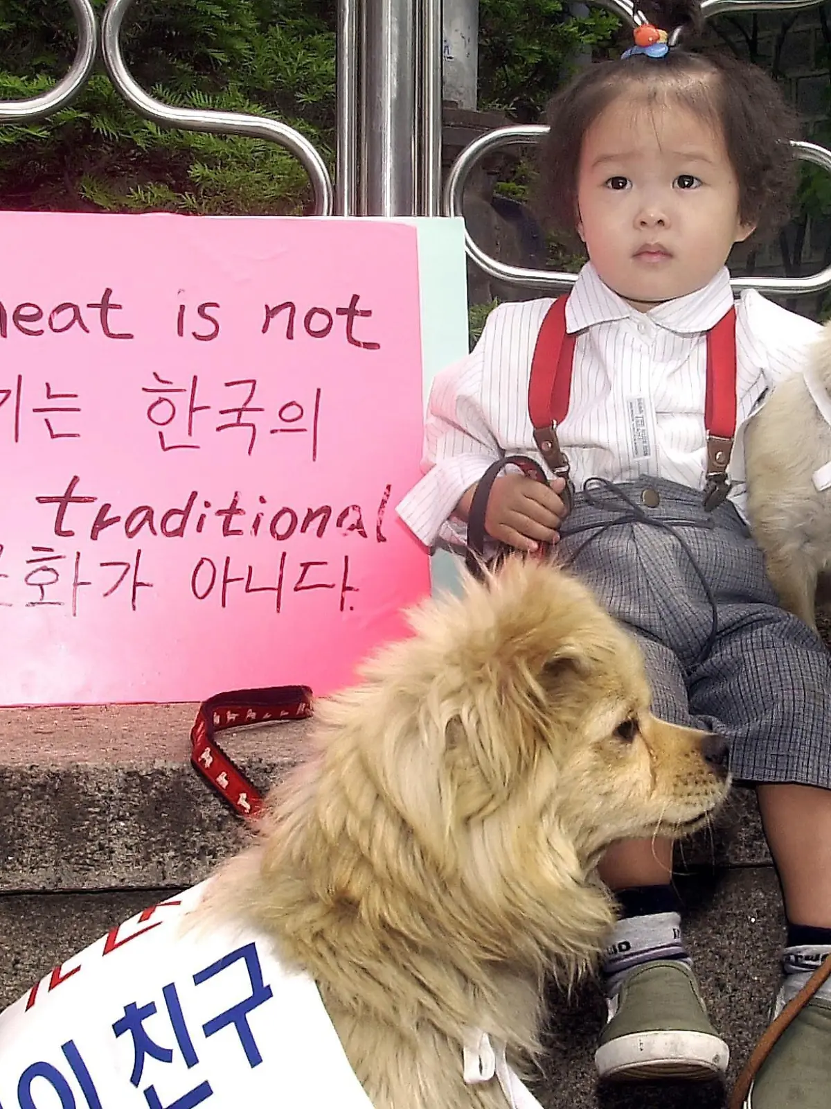 Young Korean Park Tae-hee takes part in an anti-dog meat street campaign, with her dogs, by South Korean animal protection activisits in Seoul 19 May, 2002. The campaign came in response to international groups, which have opposed the practice of eating dogs in South Korea, ahead of the upcoming soccer World Cup to be co-hosted by South Korea and Japan. dpa +++ dpa-Bildfunk +++