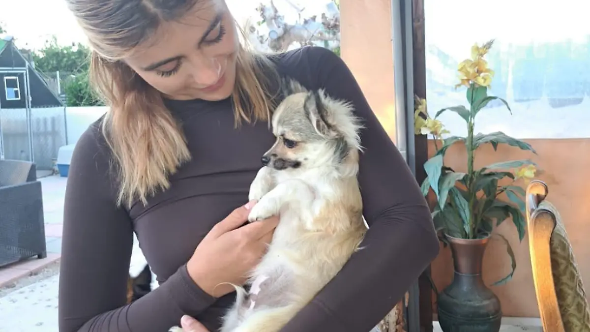 Romina Palm macht sich für die Tierschutz-Organisation "Flehende Augen von Torrevieja" stark.