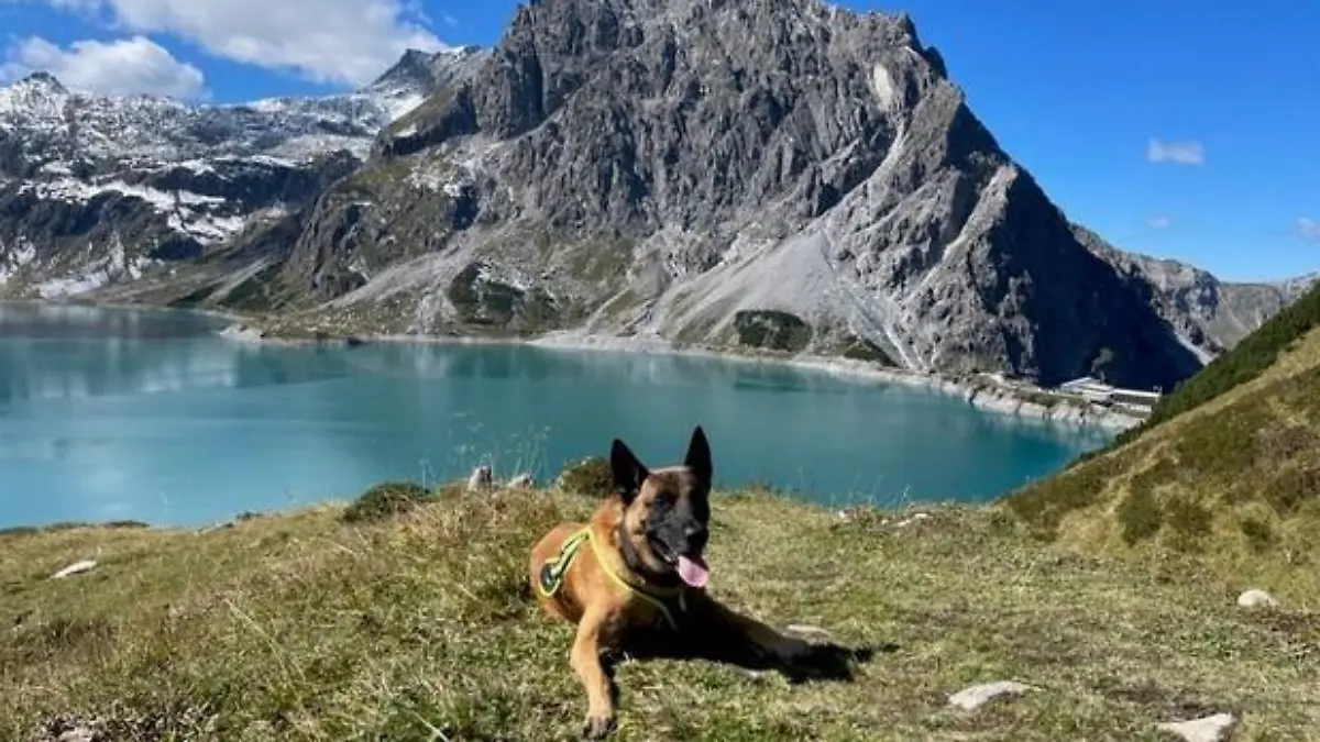 Fred in den Bergen