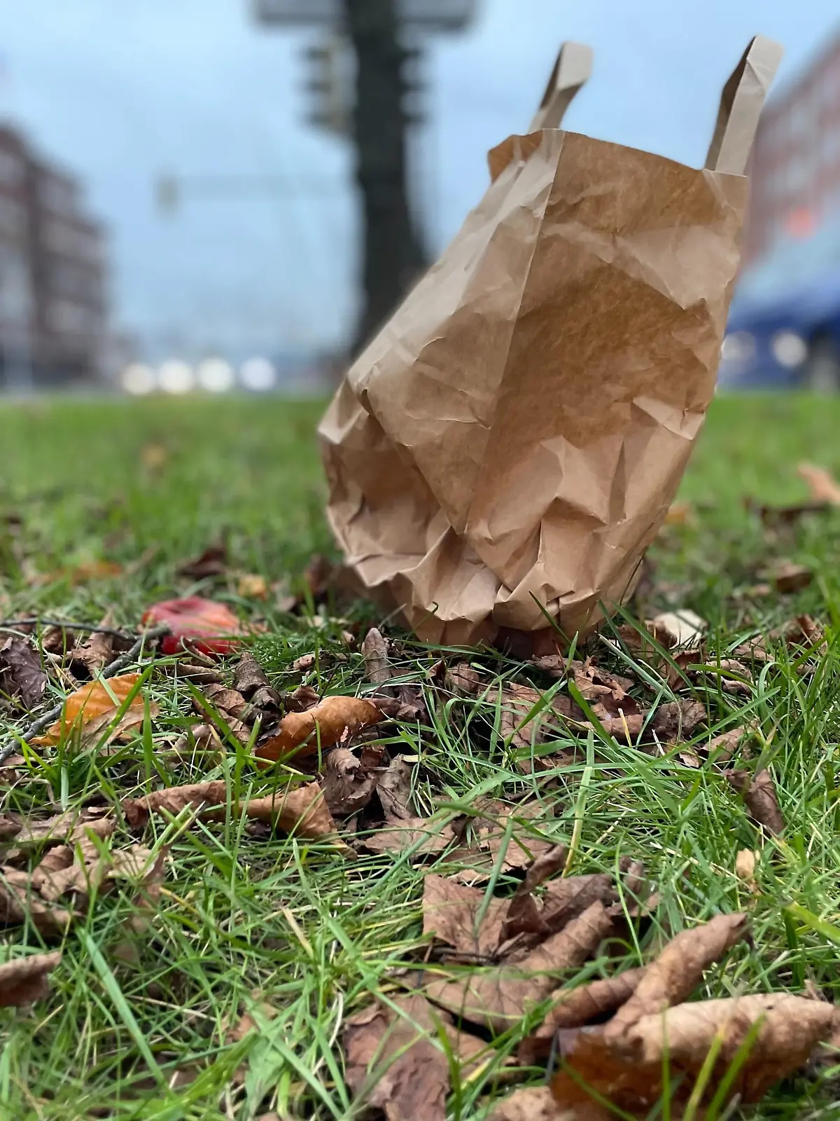 Am Straßenrand fällt den Ermittlern eine verdächtige Tüte auf. (Symbolbild)