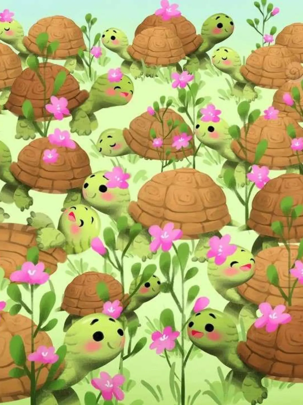 Suchbild: Zwischen den Schildkröten versteckt sich eine Schnecke