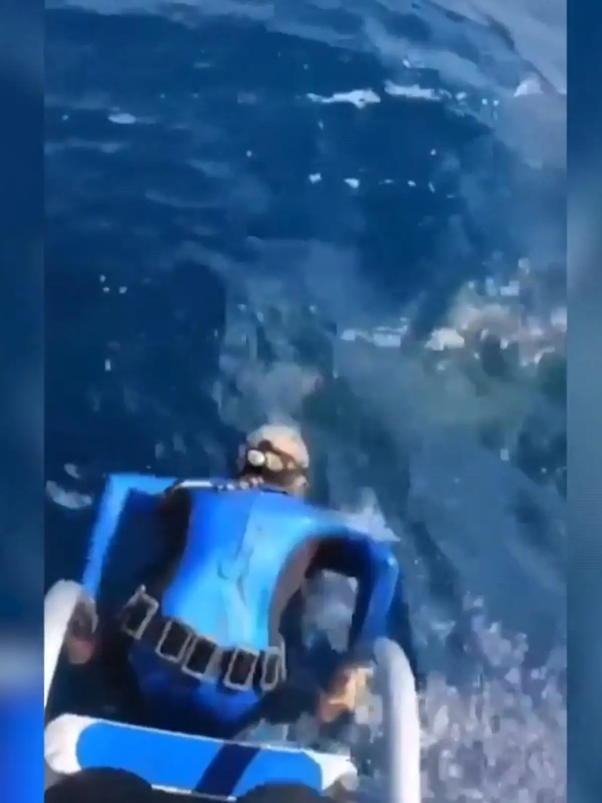Diese Frau wollte ganz entspannt in ihrem Urlaub schnorcheln – aber dann passiert DAS! An der Stelle im Wasser, in die sie gerade noch ihr Gesicht gehalten hat, taucht auf einmal die Visage eines riesigen Hais auf, der nach oben schnappt.