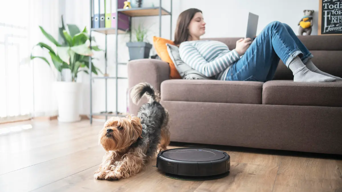 Woman and dog relaxing in the living room while robot vaccum cleans.