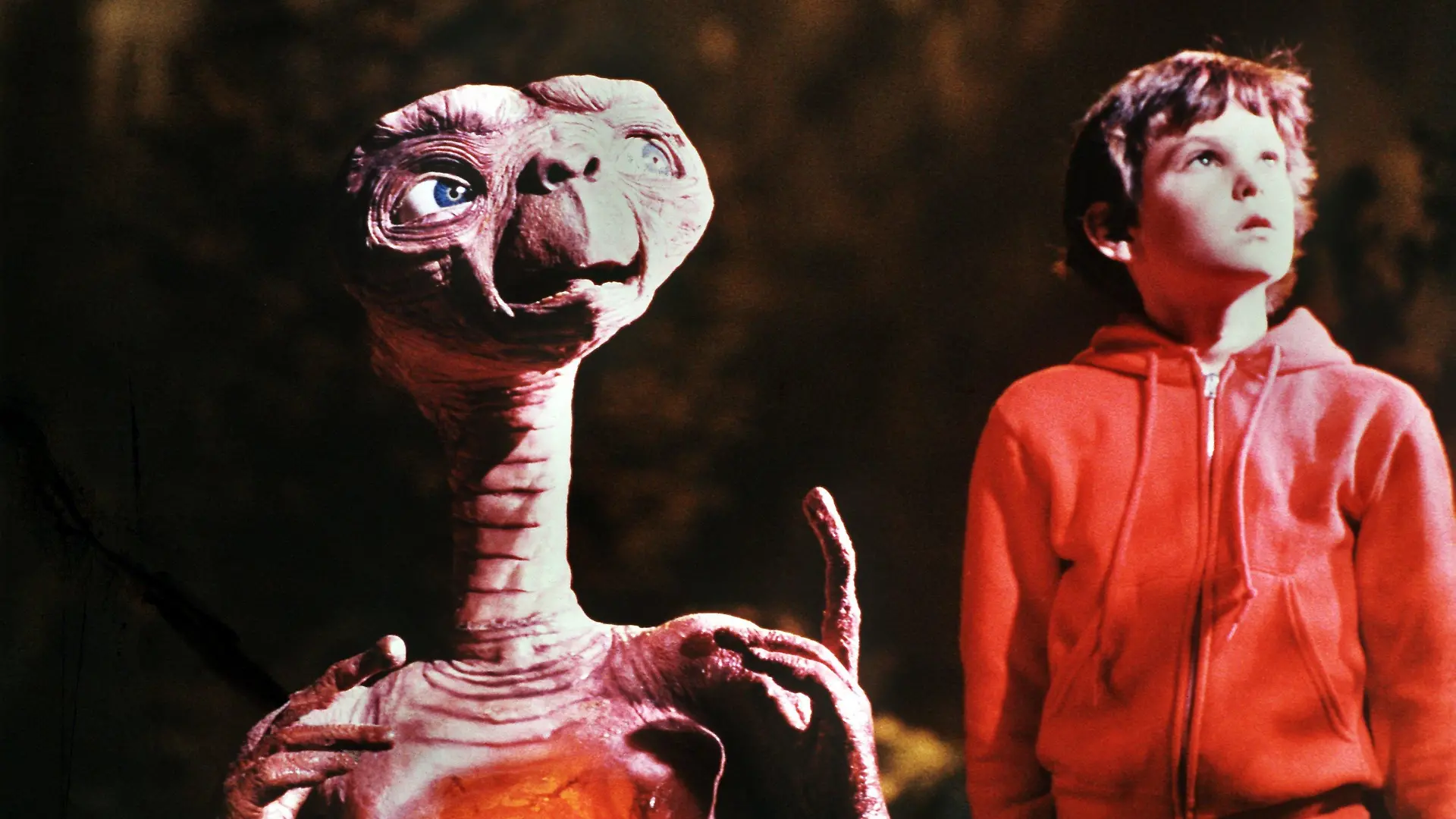 Henry Thomas (r) als "Elliot" und der Außerirdische "E.T." in einer Szene des gleichnamigen Fantasy-Films von Steven Spielberg. Das kleine Schrumpelwesen von einem fernen Planeten wird aus Versehen von seiner Raumschiff-Besatzung auf der Erde zurückgelassen, freundet sich mit einer Kindergruppe an und stiftet heillose Verwirrung. Sein größter Wunsch, "nach Hause" zurückzukehren, geht nach einem Telefonat mit seinem Heimatplaneten in Erfüllung. "E.T." lief am 9. Dezember 1982 in den deutschen Kinos an und war so erfolgreich, daß er über zehn Jahre Platz eins der Liste der erfolgreichsten Filme anführte.