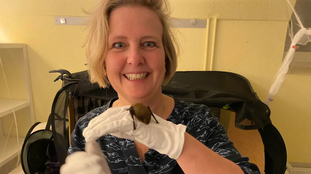 Fledermaus-Päpplerin Antje Delion mit einem Schützling