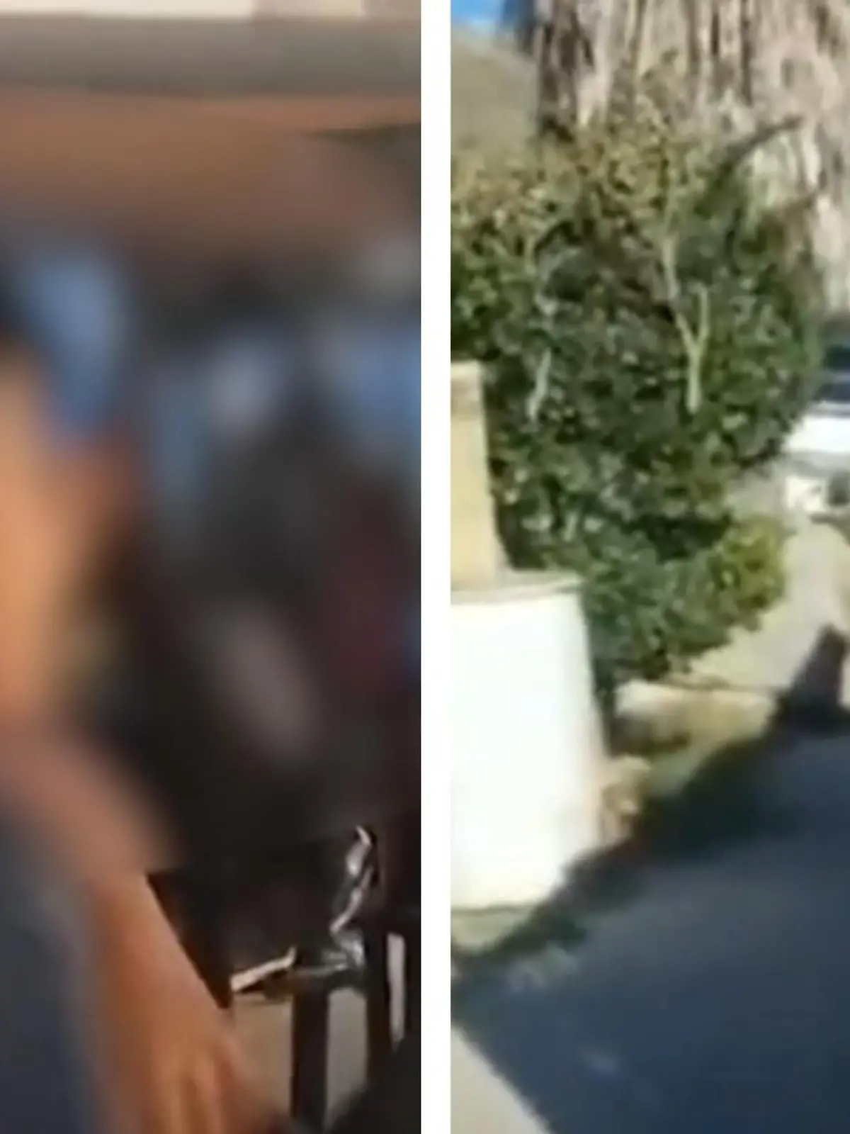 Draußen liefern sich zwei Personen einen Schusswechsel mit der Polizei, drinnen bangen Dutzende Schüler um ihr Leben! Im mexikanischen Tijuana beruhigt eine Lehrerin der "Leona Vicario"-Grundschule die Kinder, indem sie gemeinsam singen. Dabei entstehen rührende Aufnahmen.