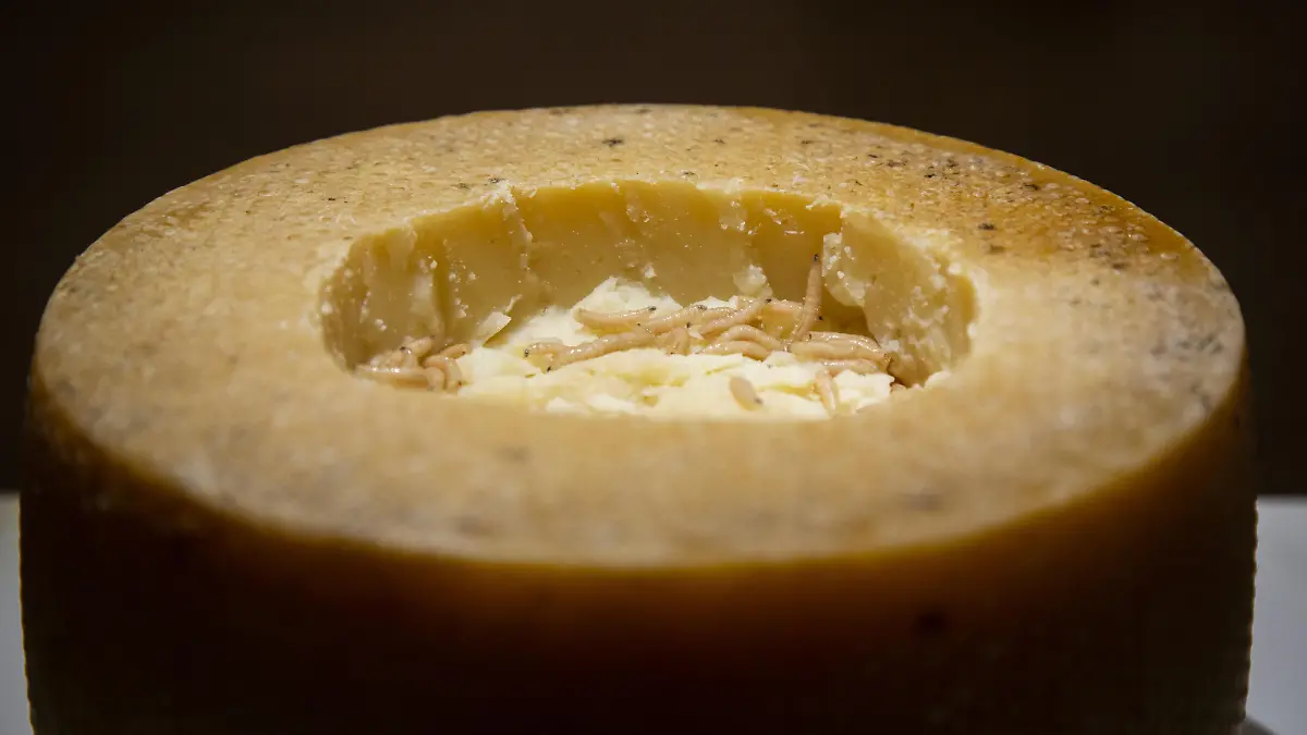 IN PHOTO: Casu Marzu A museum full of stomach churning foods is set to open in Malmö, Sweden at the end of October. The Disgusting Food Museum  understandably, the first of its kind  will showcase foods such as bull penis, maggot-infested cheese, and rotten shark. Other items include tofu made from a pungent bean curd from China, Hákarl  well-aged shark from Iceland, and the South Asian fruit, the durian. Some other of the 80 exhibited foods are frog smoothies from Peru, maggot cheese from Sardinia, the notoriously smelly fruit Durian from Thailand, and of course Swedish surströmming - the infamous putrid herring. Dr. Samuel West is the man wanting to gross people out after finding success with the popular Museum of Failure in Helsingborg, Sweden. "The main aim is that it is fun, interesting, and interactive, he told The Local. You can taste, smell, and in certain cases, even touch the food." "The rotten shark from Iceland is absolutely horrid," West continued. "We have the world's stinkiest cheese, proven by a British university. It's hardcore science." But he said he hoped that the exhibition, like his failure project, would also get across a more serious point. "We need to question our ideas of disgust if we're going to consider some of the more environmentally friendly sources of protein, like insects." Some of the food also proved to almost be too much, added Dr West, like the surströmming. "We tested it, and tested it and were almost kicked out of our current office space because of the smell," he said. "I think weve got it solved, but Im not sure. Its one of those things that keeps me awake at night." The Disgusting Food Museum will be open Wednesday-Sunday at Slagthuset MMX in Malmö between 31 October 2018 and 27 January 2019. The museum shop o?ers a selection of unusual drinks and snacks, and there is a newly opened restaurant the same building (no its not disgusting). Where: Malmö, Sweden When: 04 Oct 201 || Mindestpreis 15 Euro 