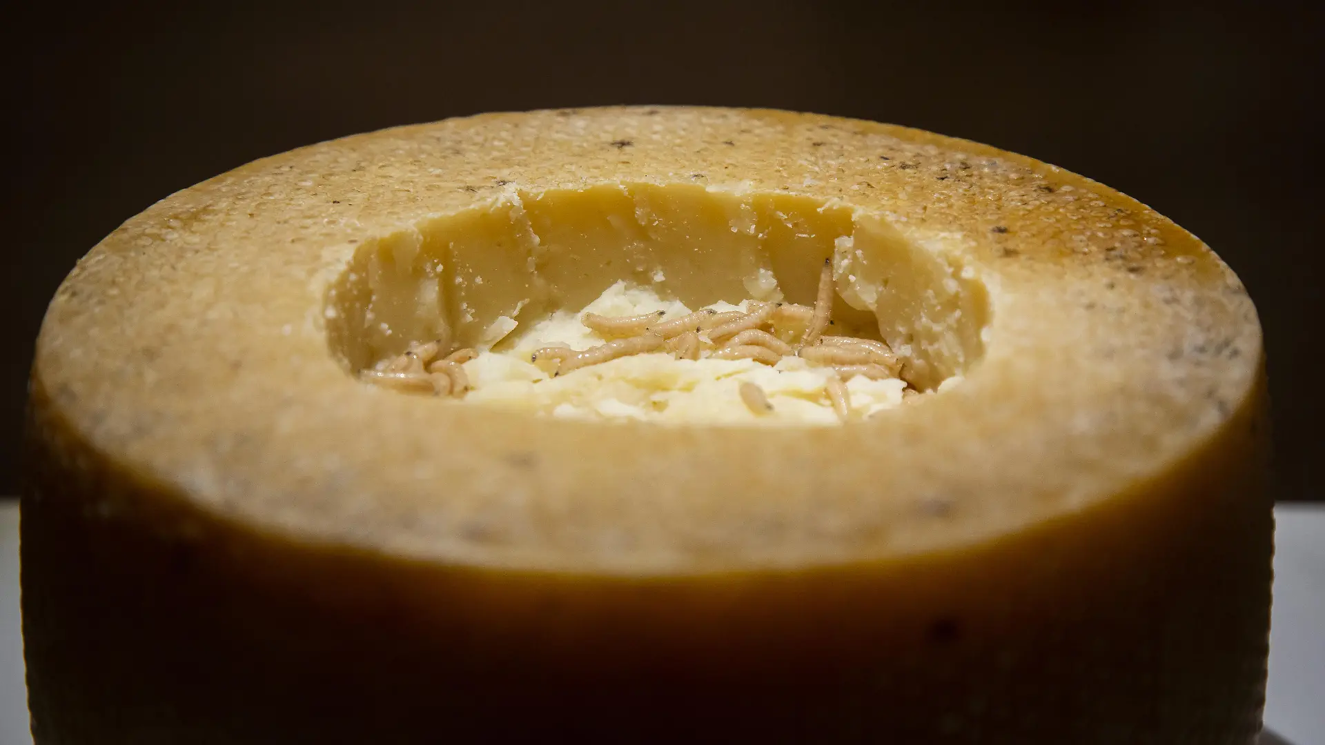 IN PHOTO: Casu Marzu A museum full of stomach churning foods is set to open in Malmö, Sweden at the end of October. The Disgusting Food Museum understandably, the first of its kind will showcase foods such as bull penis, maggot-infested cheese, and rotten shark. Other items include tofu made from a pungent bean curd from China, Hákarl well-aged shark from Iceland, and the South Asian fruit, the durian. Some other of the 80 exhibited foods are frog smoothies from Peru, maggot cheese from Sardinia, the notoriously smelly fruit Durian from Thailand, and of course Swedish surströmming - the infamous putrid herring. Dr. Samuel West is the man wanting to gross people out after finding success with the popular Museum of Failure in Helsingborg, Sweden. "The main aim is that it is fun, interesting, and interactive, he told The Local. You can taste, smell, and in certain cases, even touch the food." "The rotten shark from Iceland is absolutely horrid," West continued. "We have the world's stinkiest cheese, proven by a British university. It's hardcore science." But he said he hoped that the exhibition, like his failure project, would also get across a more serious point. "We need to question our ideas of disgust if we're going to consider some of the more environmentally friendly sources of protein, like insects." Some of the food also proved to almost be too much, added Dr West, like the surströmming. "We tested it, and tested it and were almost kicked out of our current office space because of the smell," he said. "I think weve got it solved, but Im not sure. Its one of those things that keeps me awake at night." The Disgusting Food Museum will be open Wednesday-Sunday at Slagthuset MMX in Malmö between 31 October 2018 and 27 January 2019. The museum shop o?ers a selection of unusual drinks and snacks, and there is a newly opened restaurant the same building (no its not disgusting). Where: Malmö, Sweden When: 04 Oct 201 || Mindestpreis 15 Euro