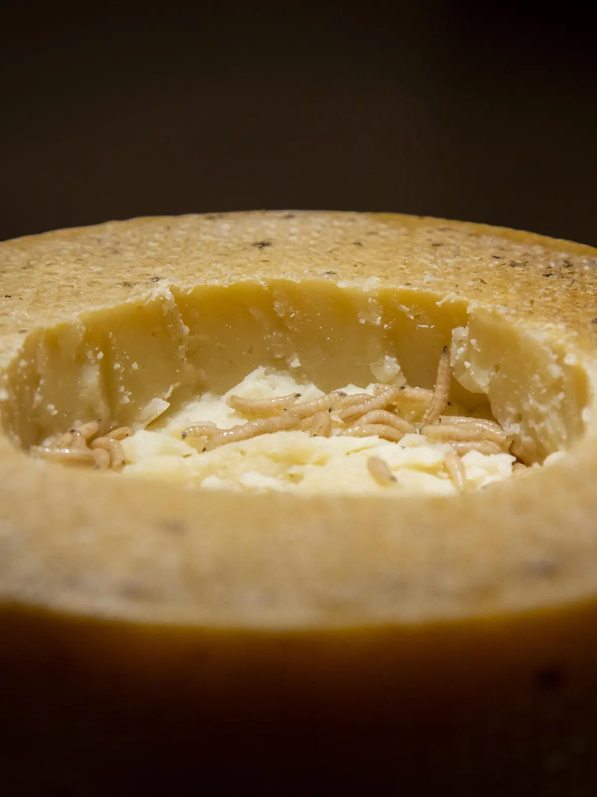 IN PHOTO: Casu Marzu A museum full of stomach churning foods is set to open in Malmö, Sweden at the end of October. The Disgusting Food Museum  understandably, the first of its kind  will showcase foods such as bull penis, maggot-infested cheese, and rotten shark. Other items include tofu made from a pungent bean curd from China, Hákarl  well-aged shark from Iceland, and the South Asian fruit, the durian. Some other of the 80 exhibited foods are frog smoothies from Peru, maggot cheese from Sardinia, the notoriously smelly fruit Durian from Thailand, and of course Swedish surströmming - the infamous putrid herring. Dr. Samuel West is the man wanting to gross people out after finding success with the popular Museum of Failure in Helsingborg, Sweden. "The main aim is that it is fun, interesting, and interactive, he told The Local. You can taste, smell, and in certain cases, even touch the food." "The rotten shark from Iceland is absolutely horrid," West continued. "We have the world's stinkiest cheese, proven by a British university. It's hardcore science." But he said he hoped that the exhibition, like his failure project, would also get across a more serious point. "We need to question our ideas of disgust if we're going to consider some of the more environmentally friendly sources of protein, like insects." Some of the food also proved to almost be too much, added Dr West, like the surströmming. "We tested it, and tested it and were almost kicked out of our current office space because of the smell," he said. "I think weve got it solved, but Im not sure. Its one of those things that keeps me awake at night." The Disgusting Food Museum will be open Wednesday-Sunday at Slagthuset MMX in Malmö between 31 October 2018 and 27 January 2019. The museum shop o?ers a selection of unusual drinks and snacks, and there is a newly opened restaurant the same building (no its not disgusting). Where: Malmö, Sweden When: 04 Oct 201 || Mindestpreis 15 Euro 