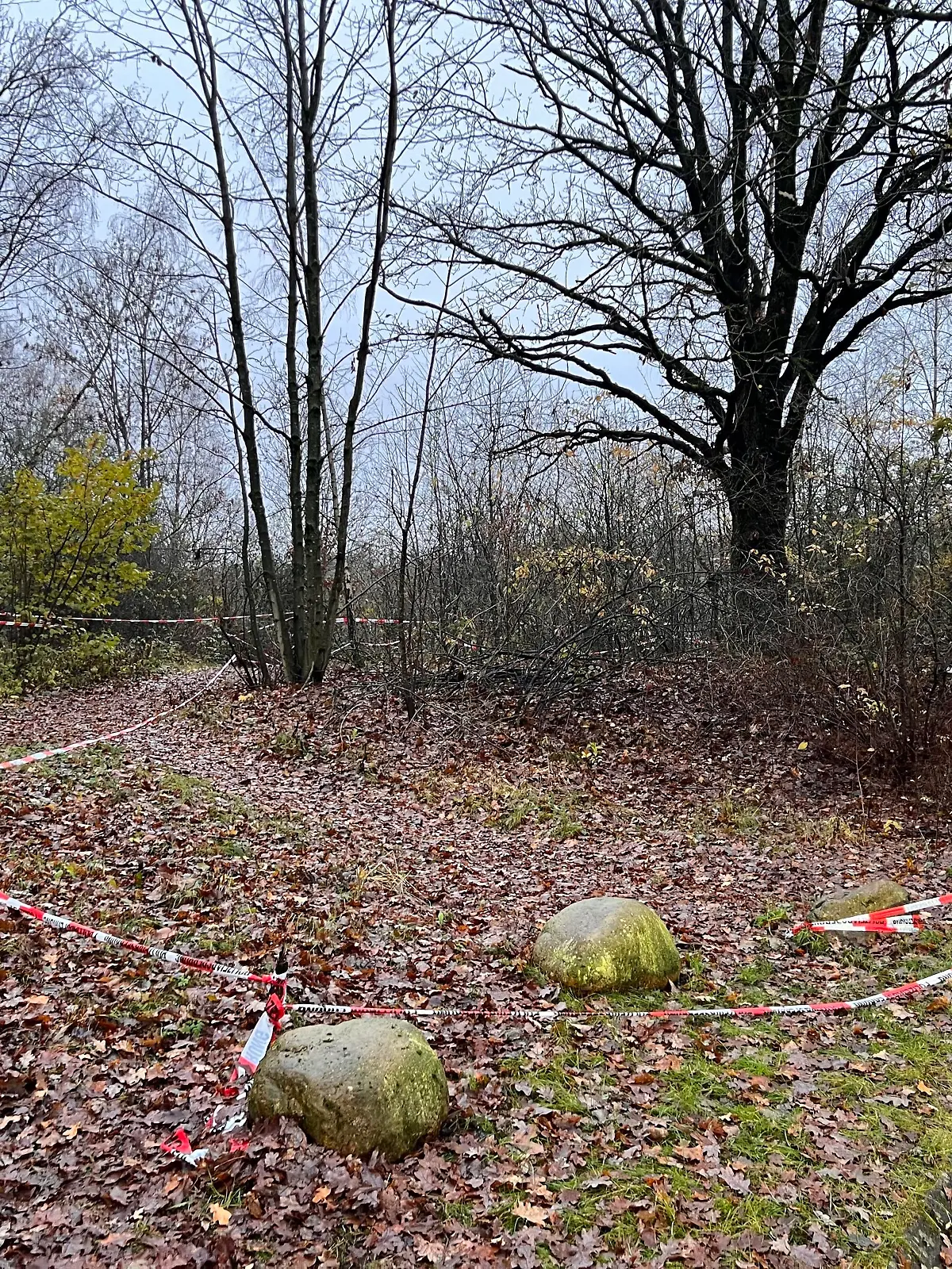 Hier neben der Holsten Therme in Kaltenkirchen hat ein grausames Verbrechen stattgefunden.