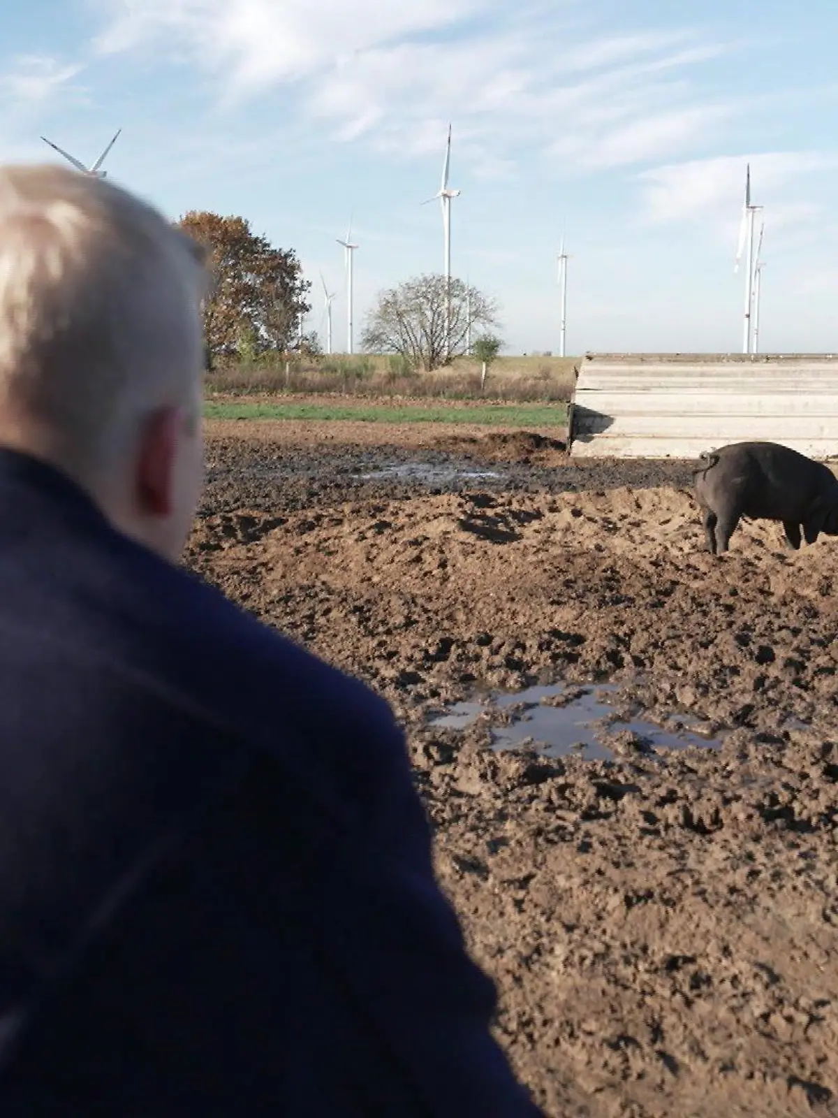Daniel Spliethoff besucht sein Schwein Elisa in Mecklenburg-Vorpommern.