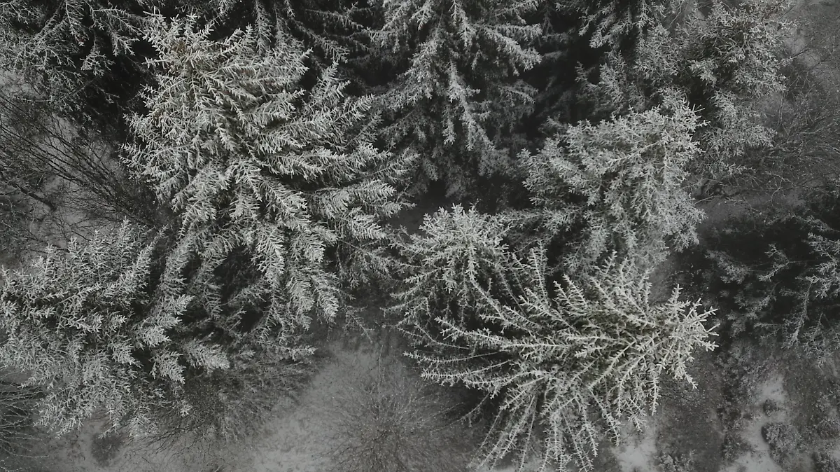  Winterstimmung im Harz: Wintersaison beginnt mit dem ersten Schneefall. In Torfhaus im Harz herrscht am Freitagmittag Hochstimmung, denn in den Mittagsstunden sind mehr als 5 Zentimeter Schnee gefallen. Zum ersten Mal in diesem Jahr. Nun freuen sich Touristen und Anwohner, dass die Wintersaison starten kann - ein kleiner Trost in diesen schweren Zeiten. / Niedersachsen, Torfhaus, Wintereinbrauch, Schneefall, Schnee, Wandern, Harz, Oberharz, Goslar, Meteorologe, Wetter, Wettervorhersage, Wetterprognose, Wetterbild, Nachrichten Deutschland *** Winter mood in the Harz Winter season begins with the first snowfall In Torfhaus in the Harz mountains, there is high spirits on Friday afternoon, because more than 5 centimetres of snow have fallen Copyright: xMartinxDziadekx