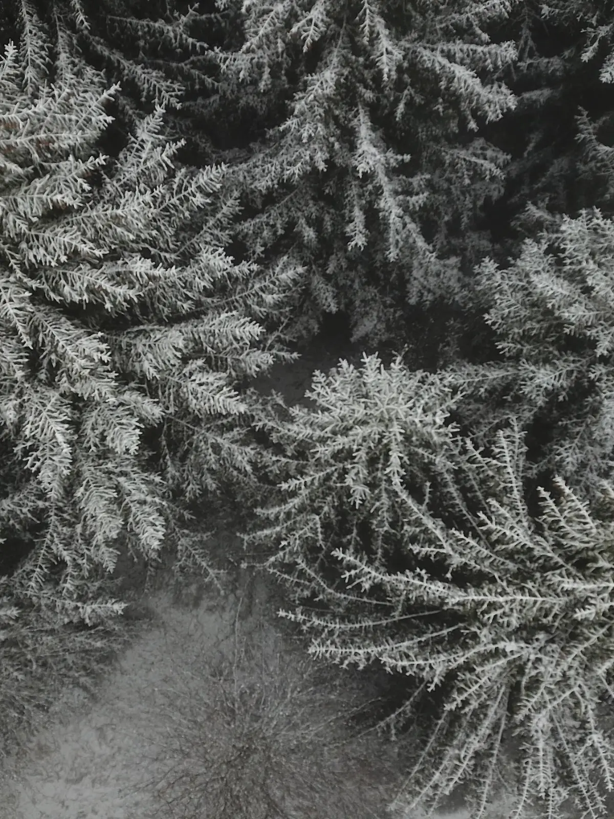  Winterstimmung im Harz: Wintersaison beginnt mit dem ersten Schneefall. In Torfhaus im Harz herrscht am Freitagmittag Hochstimmung, denn in den Mittagsstunden sind mehr als 5 Zentimeter Schnee gefallen. Zum ersten Mal in diesem Jahr. Nun freuen sich Touristen und Anwohner, dass die Wintersaison starten kann - ein kleiner Trost in diesen schweren Zeiten. / Niedersachsen, Torfhaus, Wintereinbrauch, Schneefall, Schnee, Wandern, Harz, Oberharz, Goslar, Meteorologe, Wetter, Wettervorhersage, Wetterprognose, Wetterbild, Nachrichten Deutschland *** Winter mood in the Harz Winter season begins with the first snowfall In Torfhaus in the Harz mountains, there is high spirits on Friday afternoon, because more than 5 centimetres of snow have fallen Copyright: xMartinxDziadekx