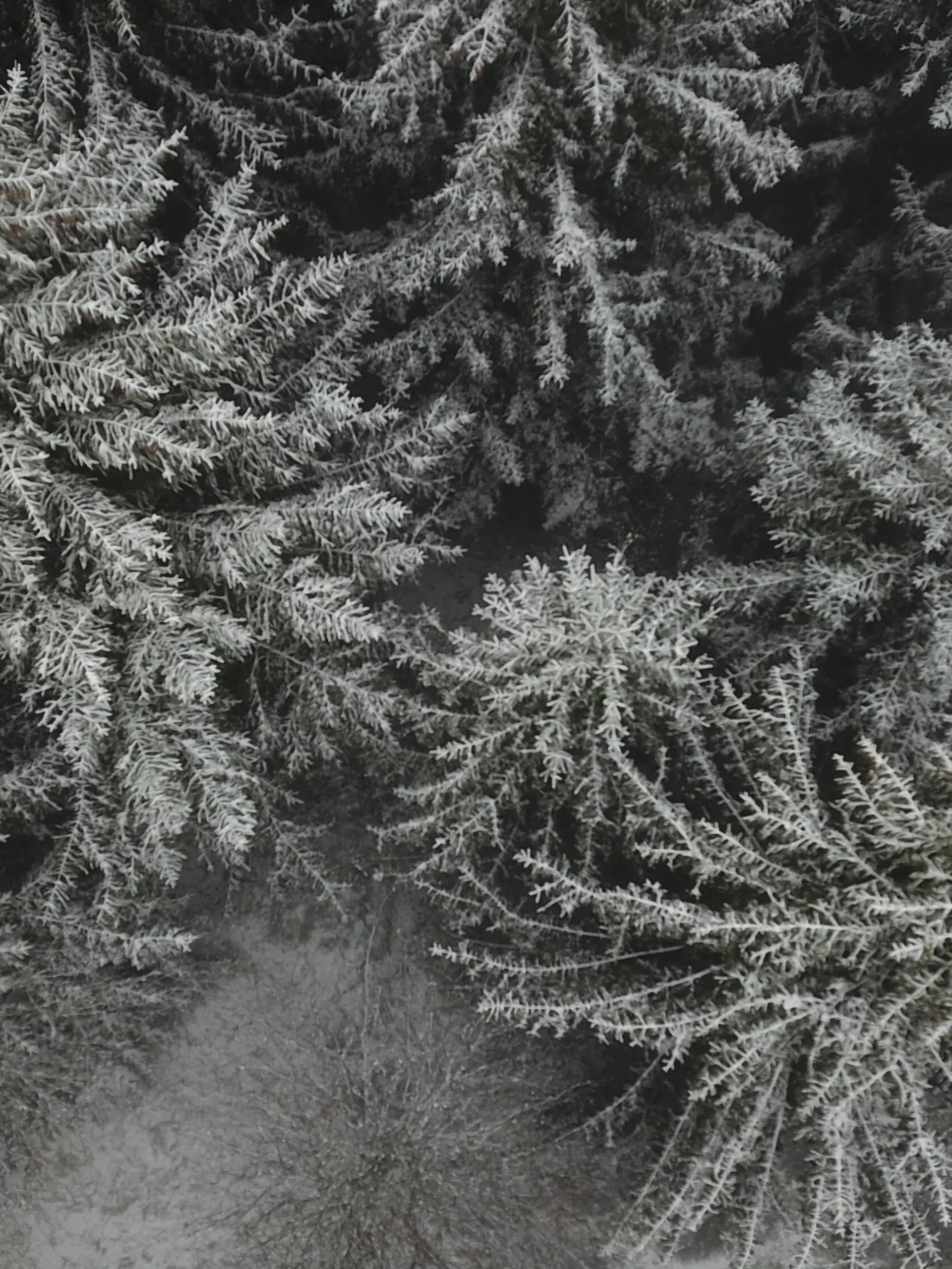  Winterstimmung im Harz: Wintersaison beginnt mit dem ersten Schneefall. In Torfhaus im Harz herrscht am Freitagmittag Hochstimmung, denn in den Mittagsstunden sind mehr als 5 Zentimeter Schnee gefallen. Zum ersten Mal in diesem Jahr. Nun freuen sich Touristen und Anwohner, dass die Wintersaison starten kann - ein kleiner Trost in diesen schweren Zeiten. / Niedersachsen, Torfhaus, Wintereinbrauch, Schneefall, Schnee, Wandern, Harz, Oberharz, Goslar, Meteorologe, Wetter, Wettervorhersage, Wetterprognose, Wetterbild, Nachrichten Deutschland *** Winter mood in the Harz Winter season begins with the first snowfall In Torfhaus in the Harz mountains, there is high spirits on Friday afternoon, because more than 5 centimetres of snow have fallen Copyright: xMartinxDziadekx