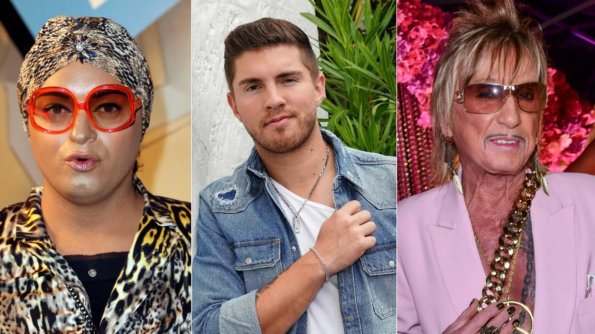 Die TV-Promis sind entsetzt von dem Musiker