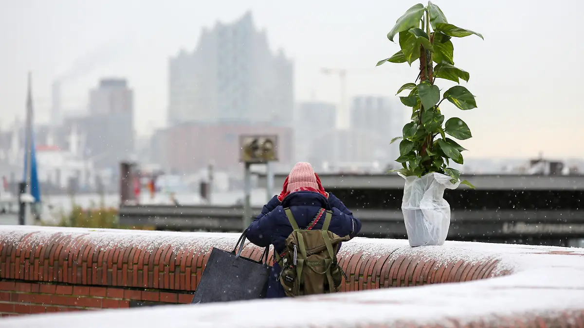 26.11.2023, Hamburg: Schnee liegt auf einer Mauer am Hamburger Fischmarkt. Eine zuvor auf dem Fischmarkt gekaufte Pflanze steht auf der Mauer, im Hintergrund ist die Elbphilharmonie zu sehen. Leichter Schneefall war heute in der Hansestadt zu sehen. Foto: Bodo Marks/dpa +++ dpa-Bildfunk +++