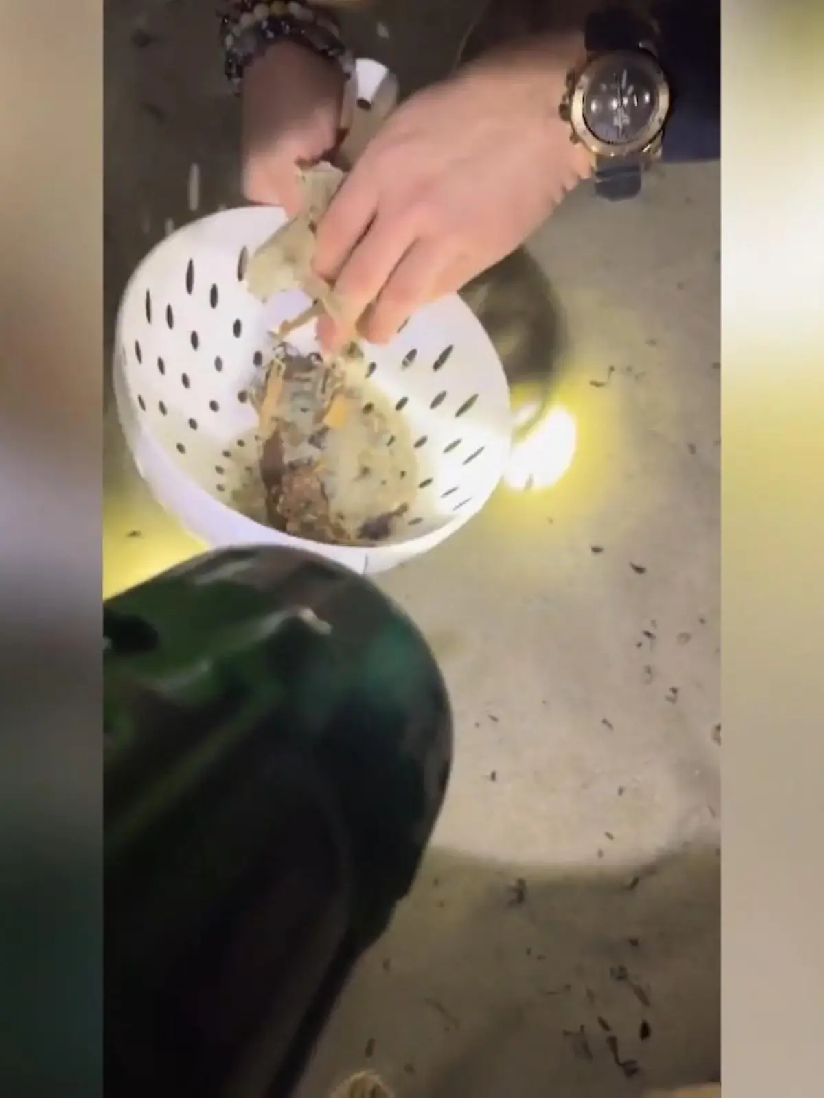 Diese Verlobung läuft anders als geplant…und geht auch länger als geplant. Schon mal einen 16.000€ schweren Ring am Strand gesucht? Nein? Na dann, unbedingt das Video gucken!