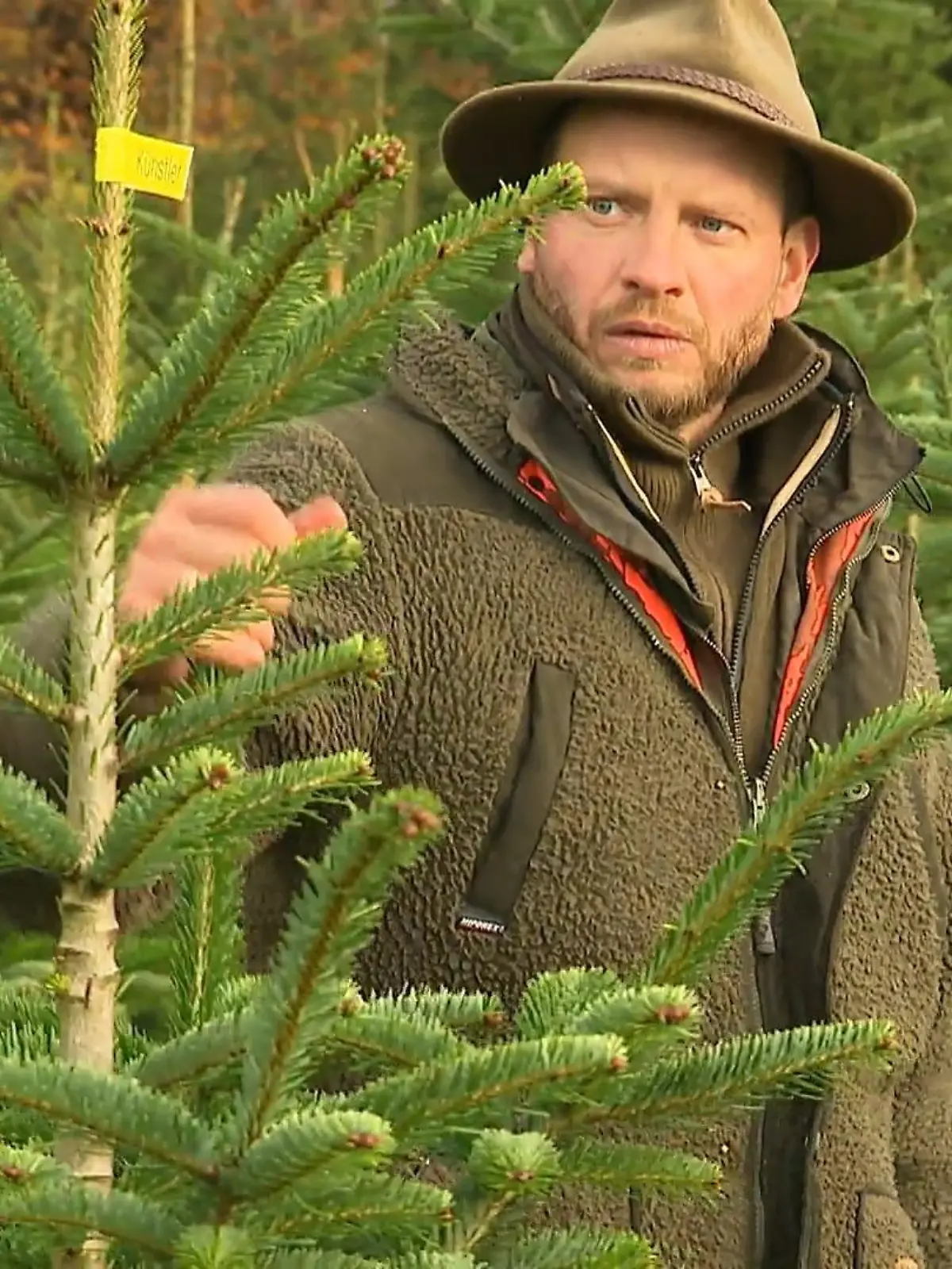 Bild zu: "Wer hat den schönsten Baum? "