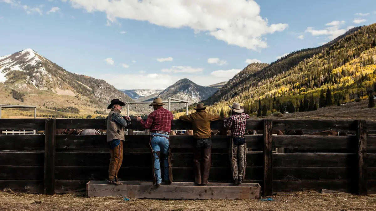 "Yellowstone" - jetzt auf RTL+