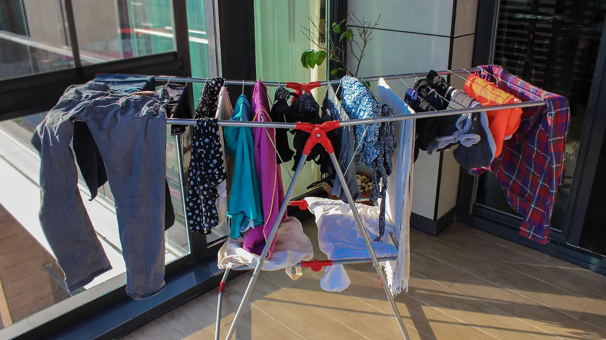 Laundry, drying rack, drying, clothes, wet clothes
