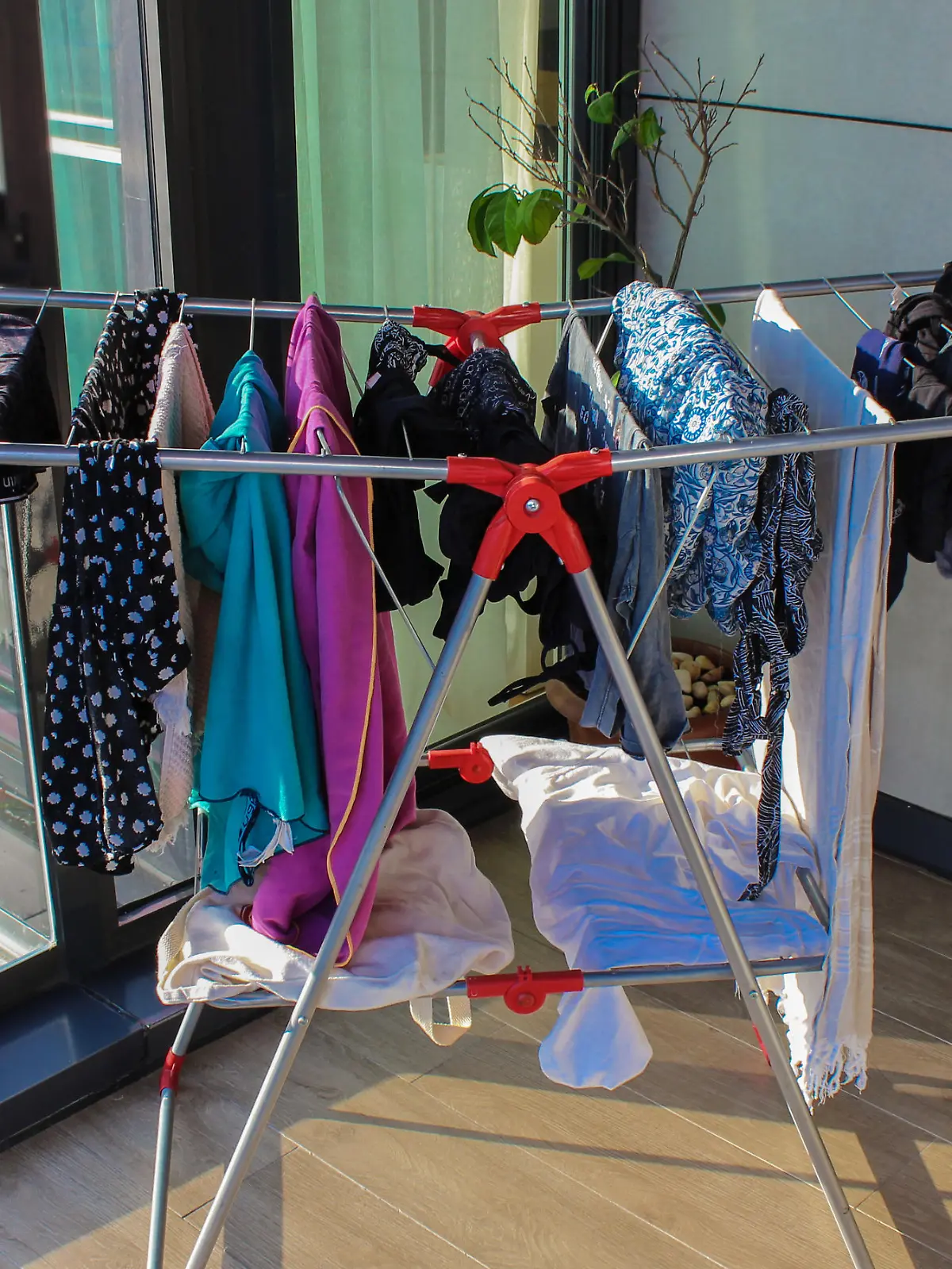 Laundry, drying rack, drying, clothes, wet clothes