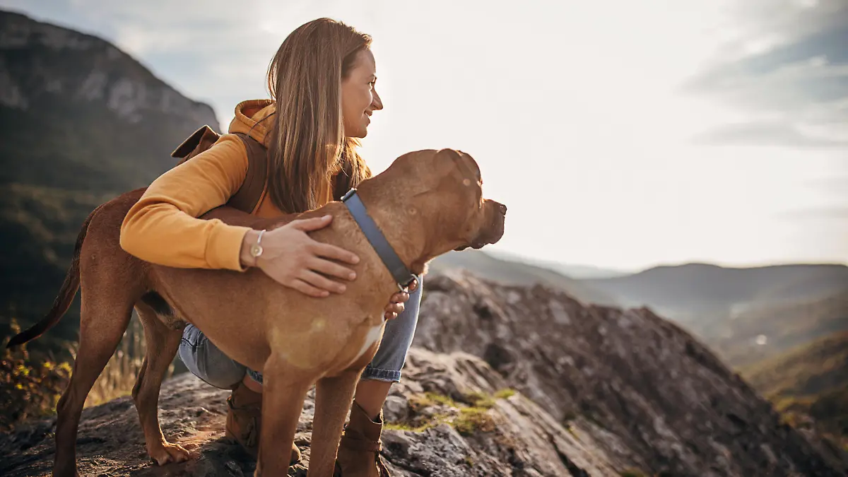 One woman, female hiker and her dog on mountain peak on a sunny day.