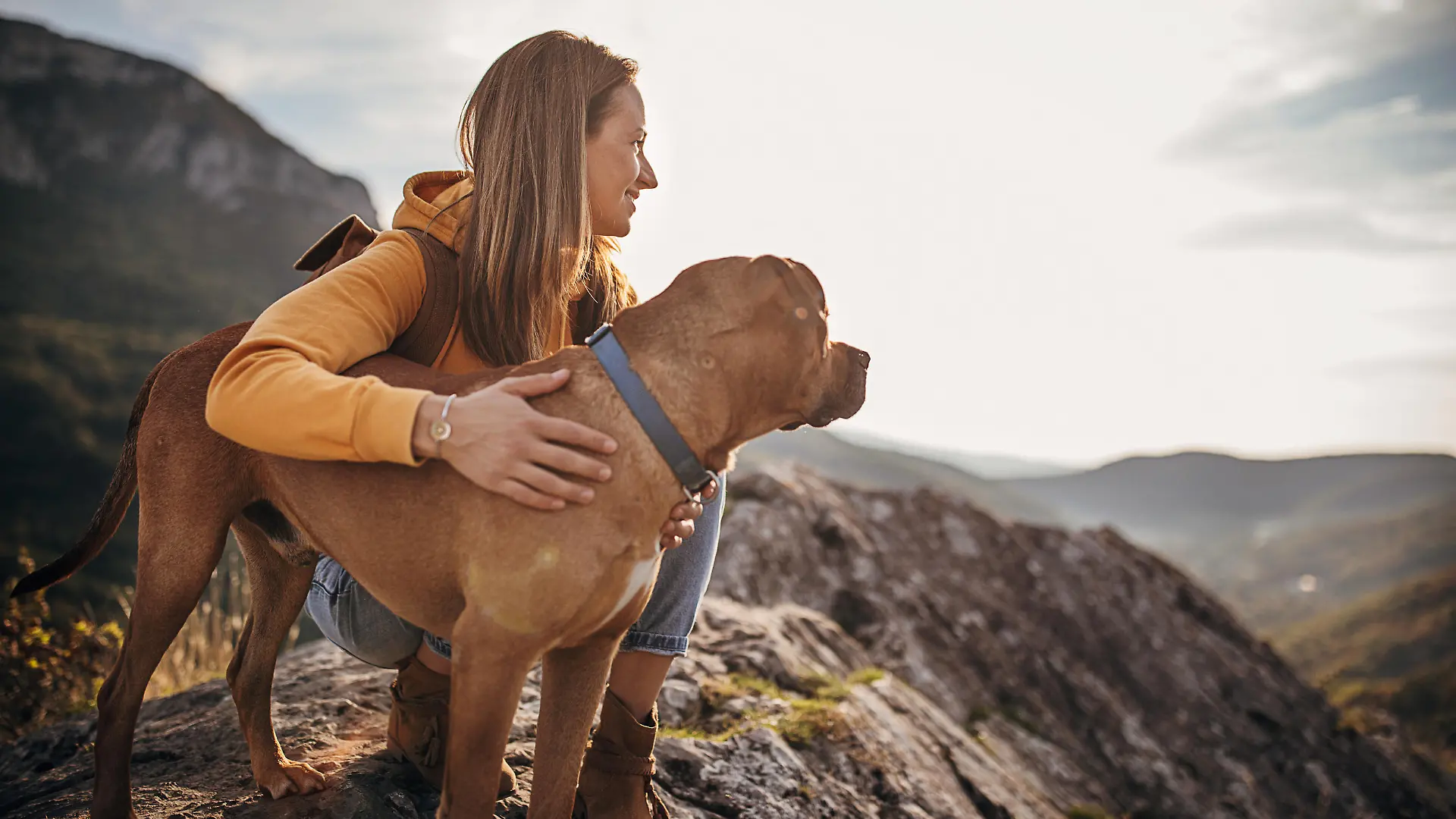 One woman, female hiker and her dog on mountain peak on a sunny day.