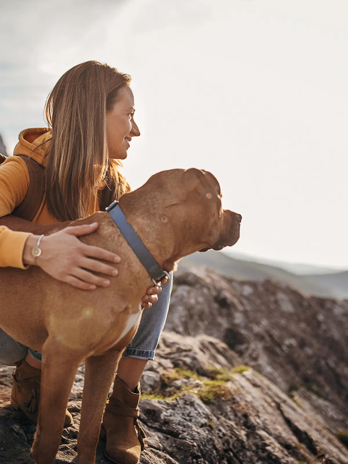 One woman, female hiker and her dog on mountain peak on a sunny day.